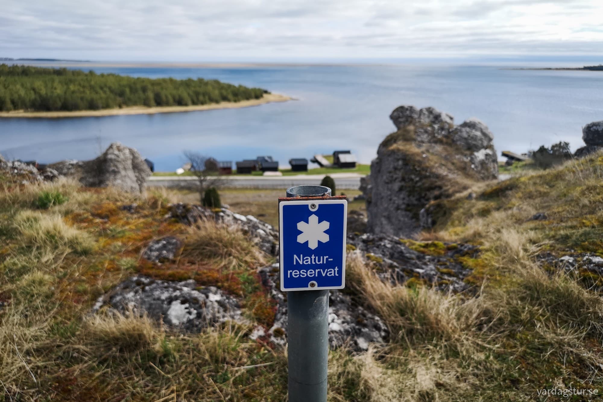 wp-17143300550083865044952222714946