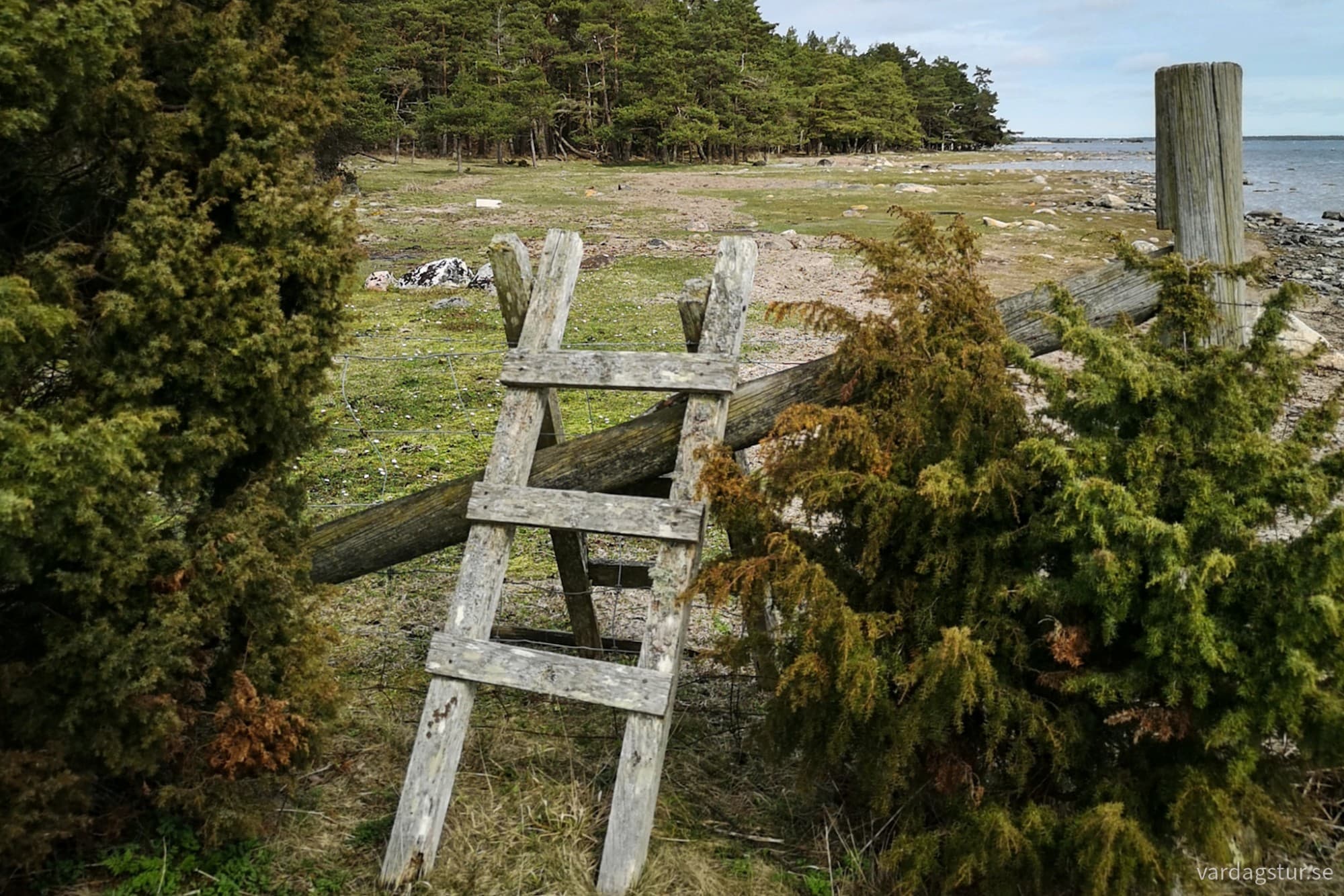 wp-17143300547411544572378971009817