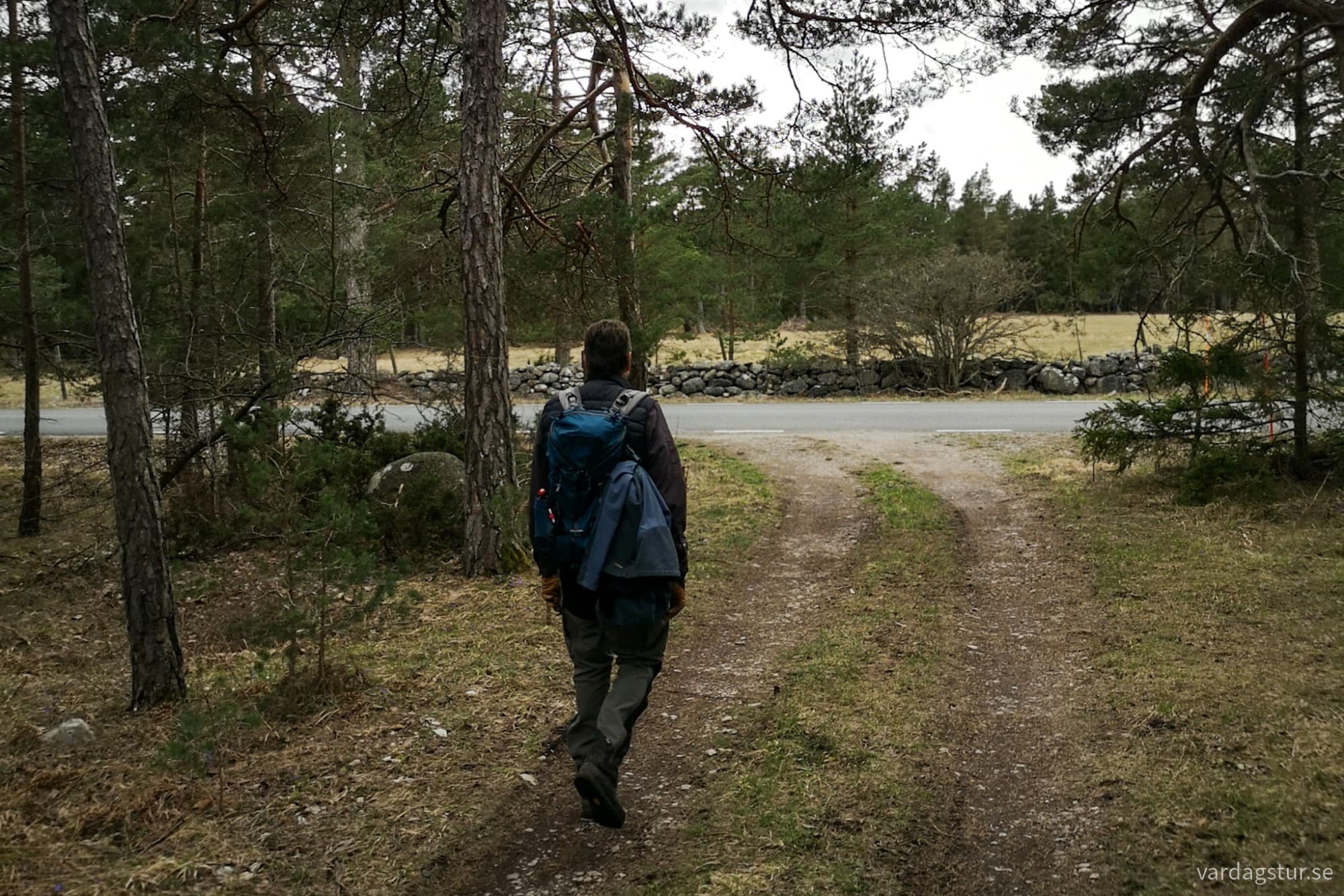 wp-17143300545045502896148848149712