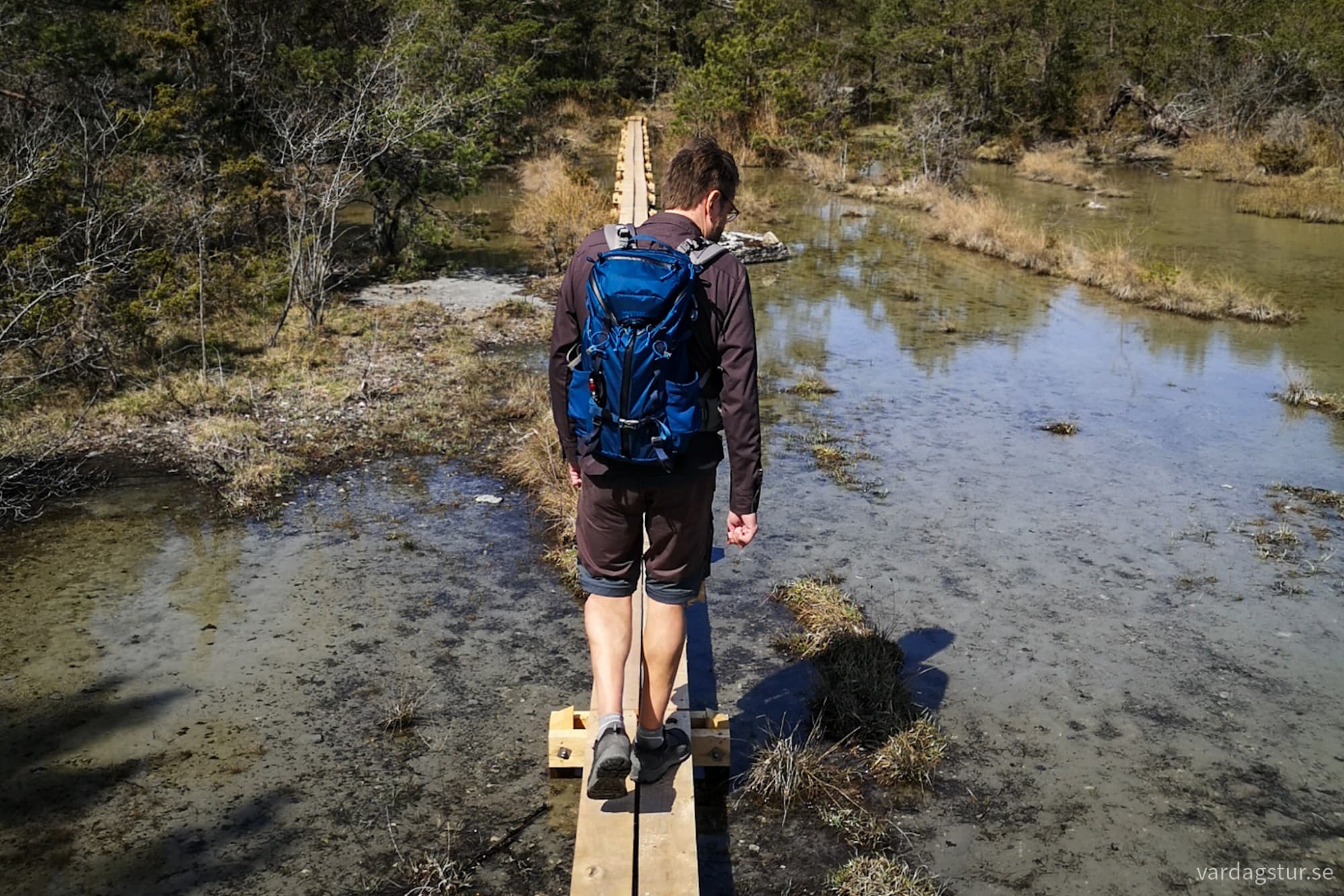 wp-17146696997485729954459427603432