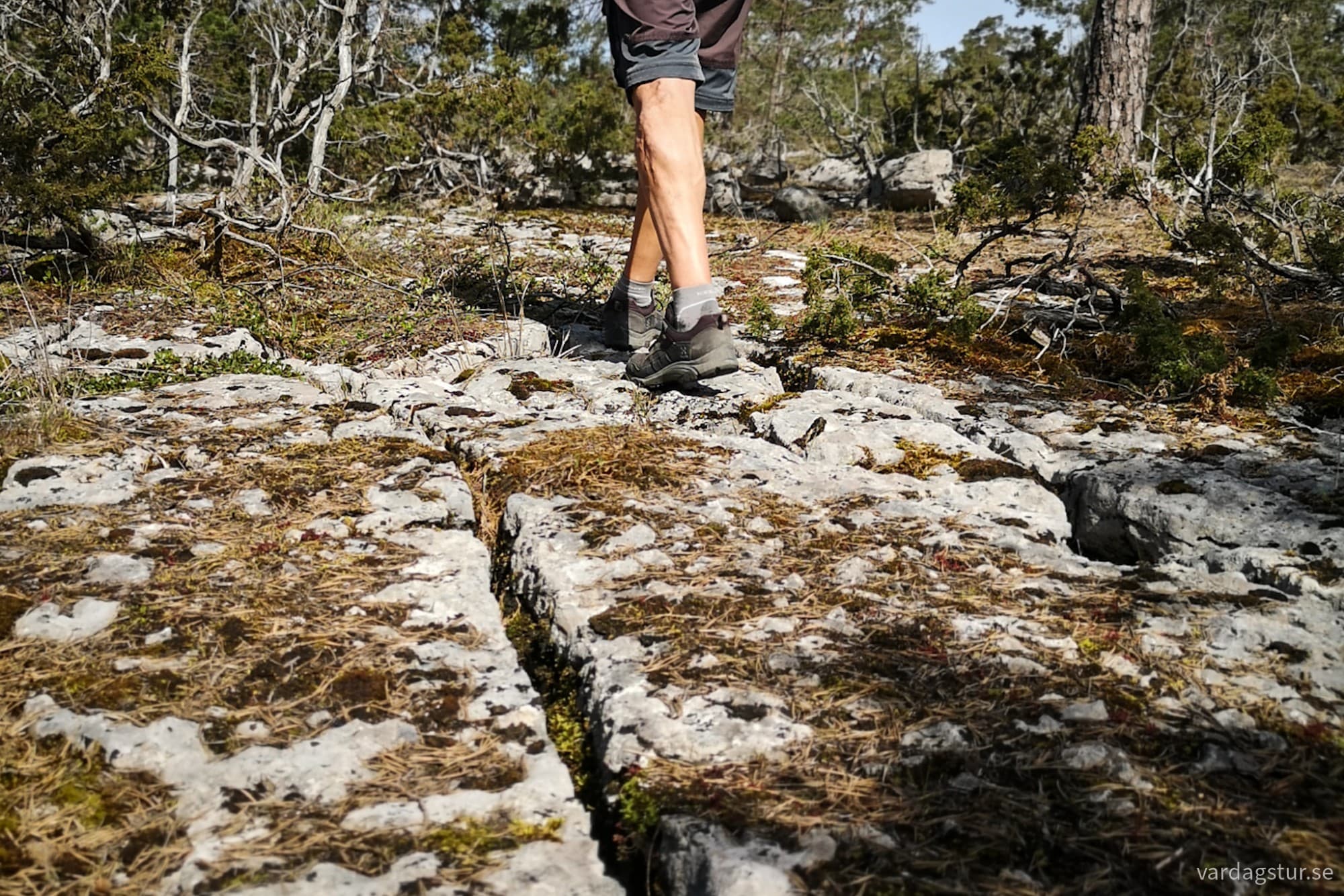 wp-17146696999641919472617772671796