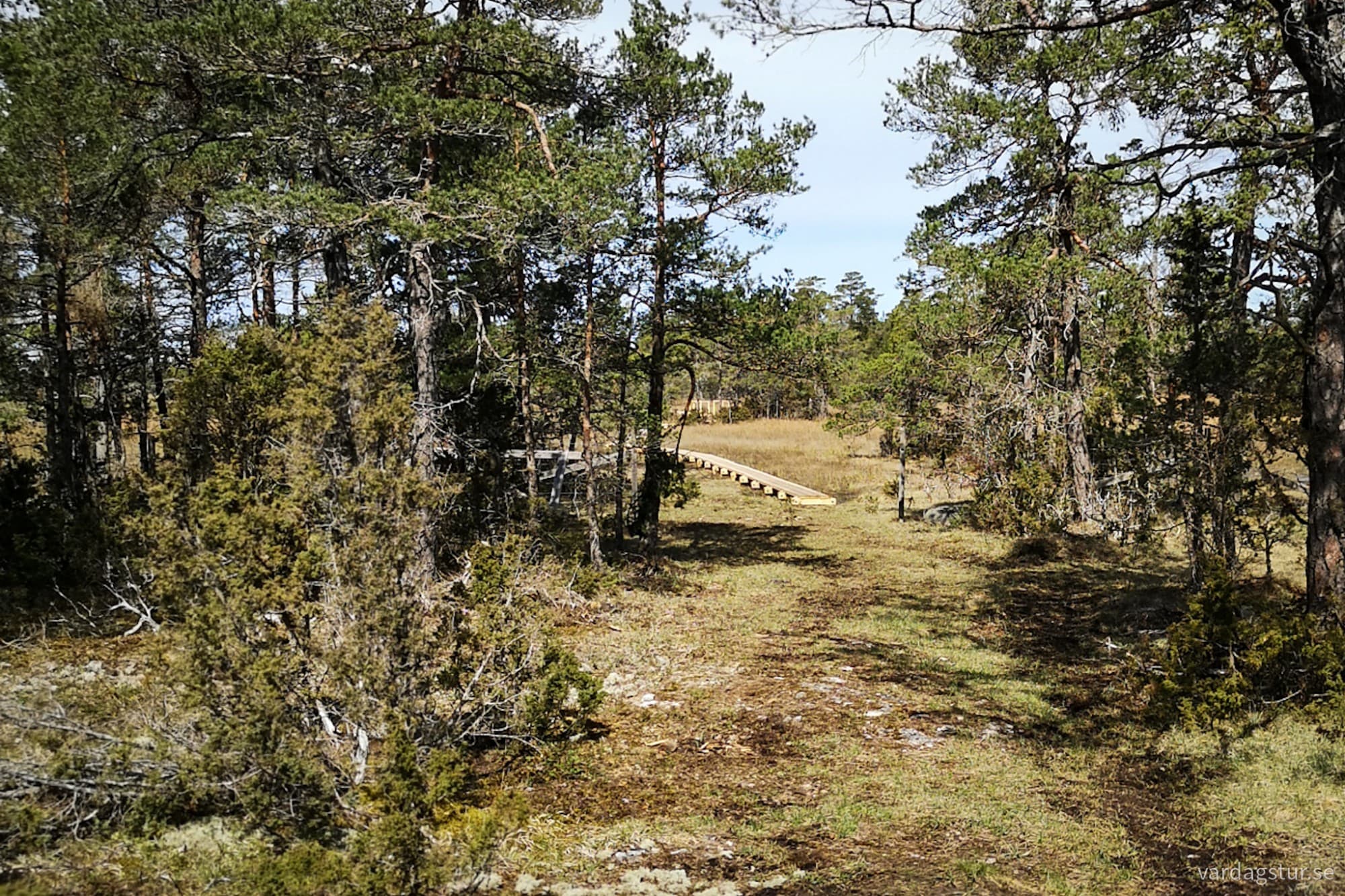 wp-17146697002016701252195300689121