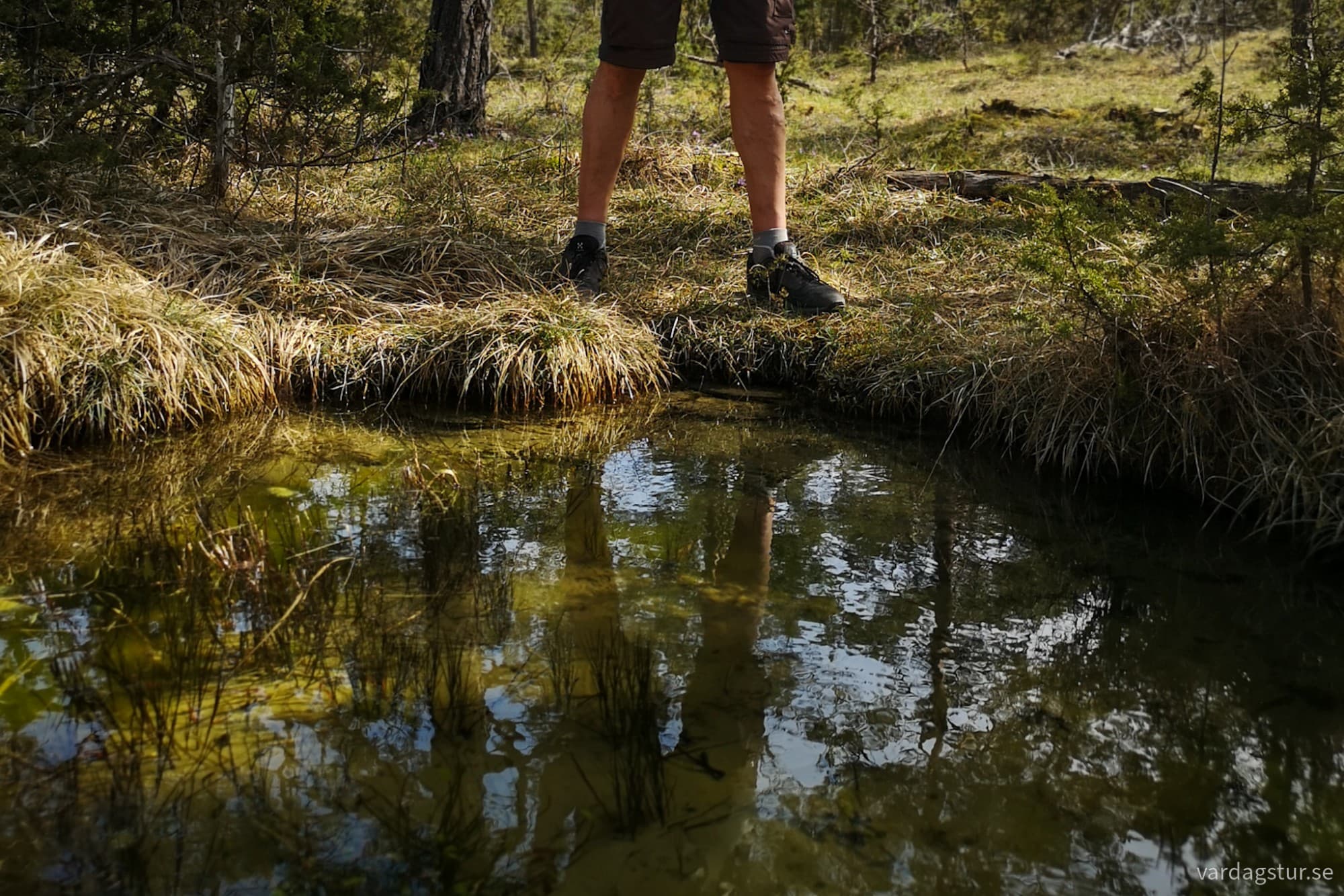 wp-17146697016052701731447580811091