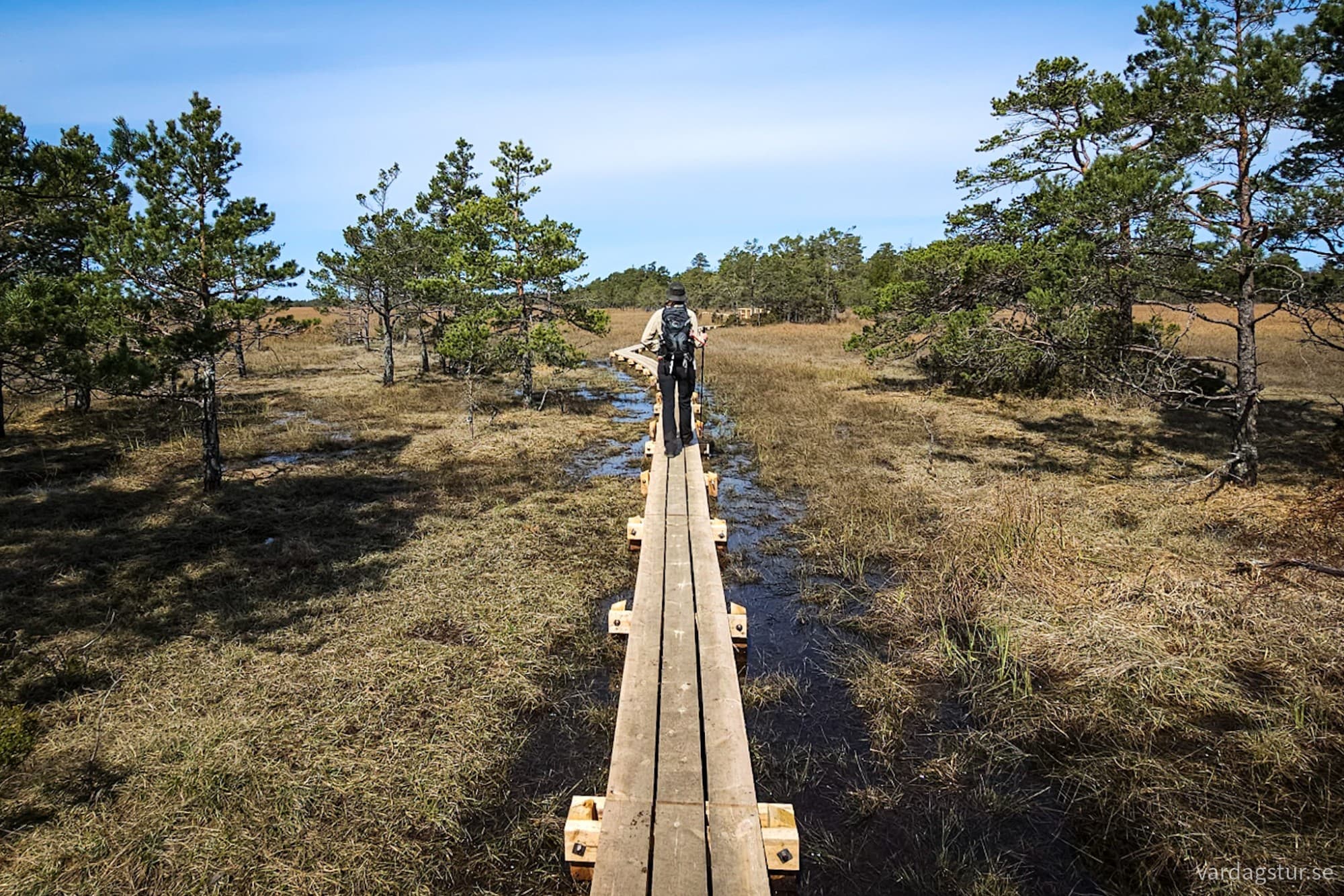 wp-17146697011414096687552566540614