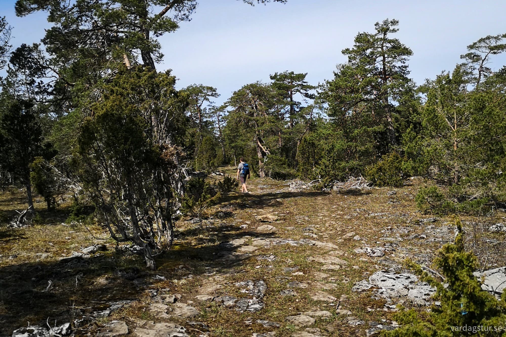 wp-17146697013845614367823542628445