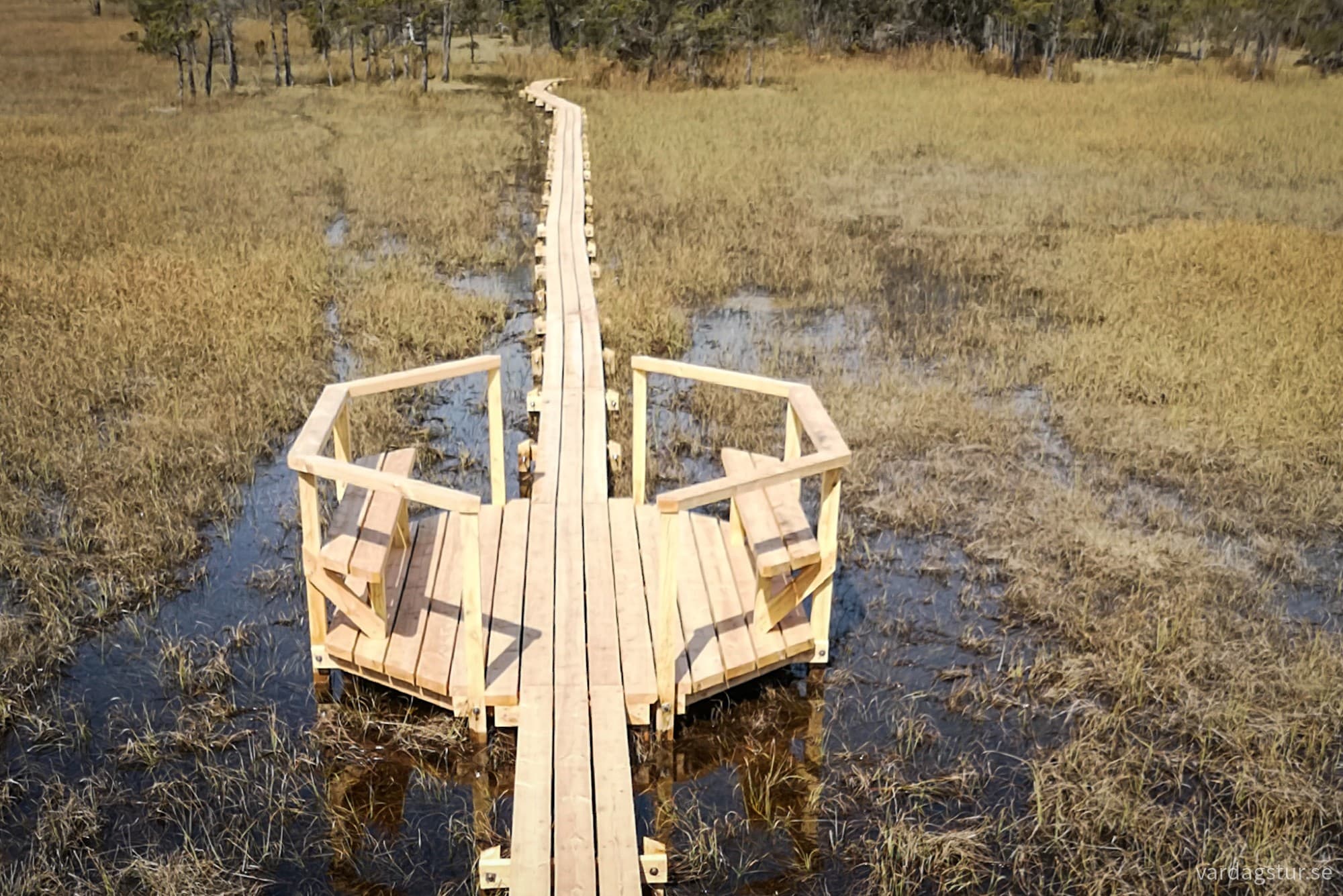 wp-1714674886145931919013035917219