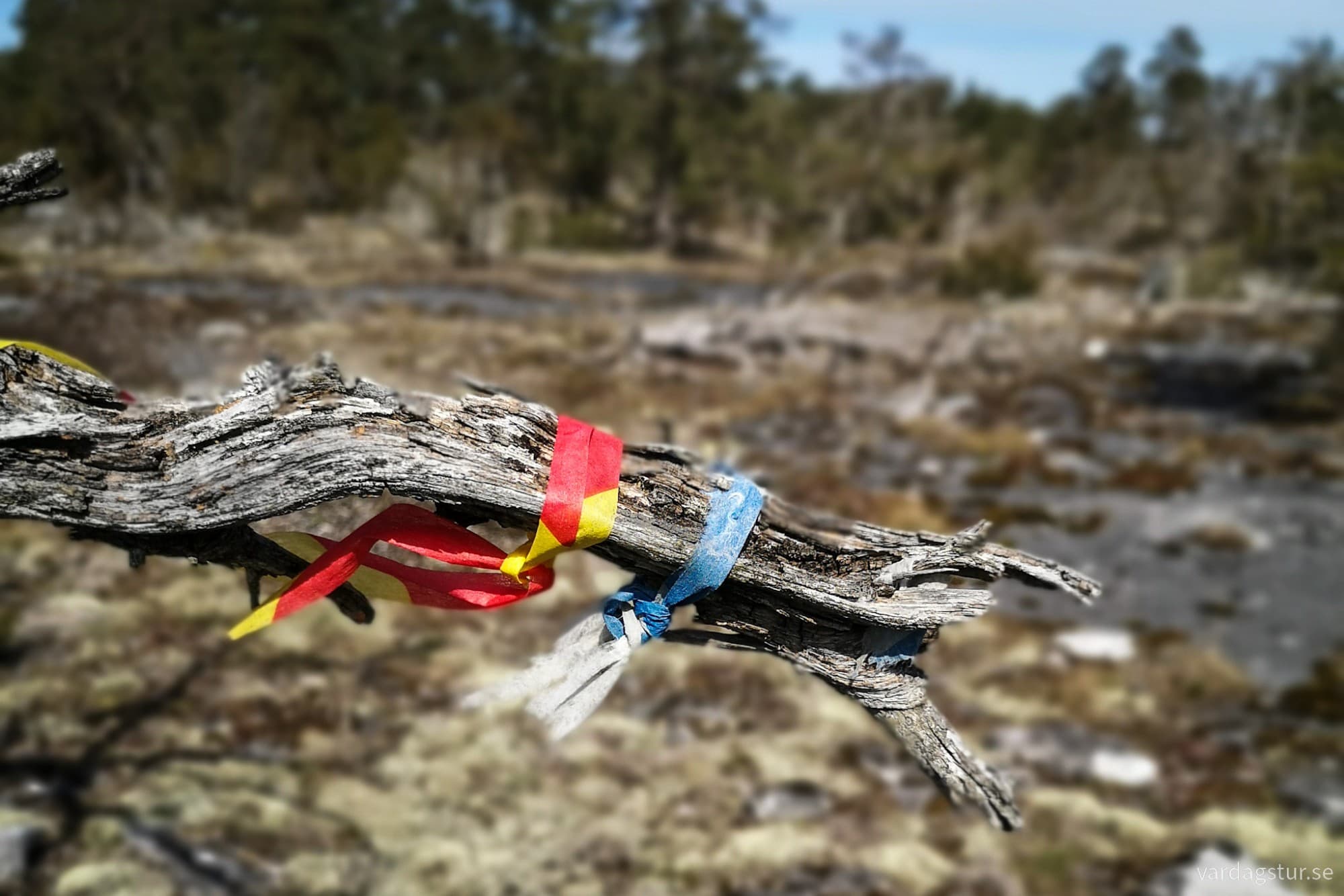 wp-1714675454726989876772676161462