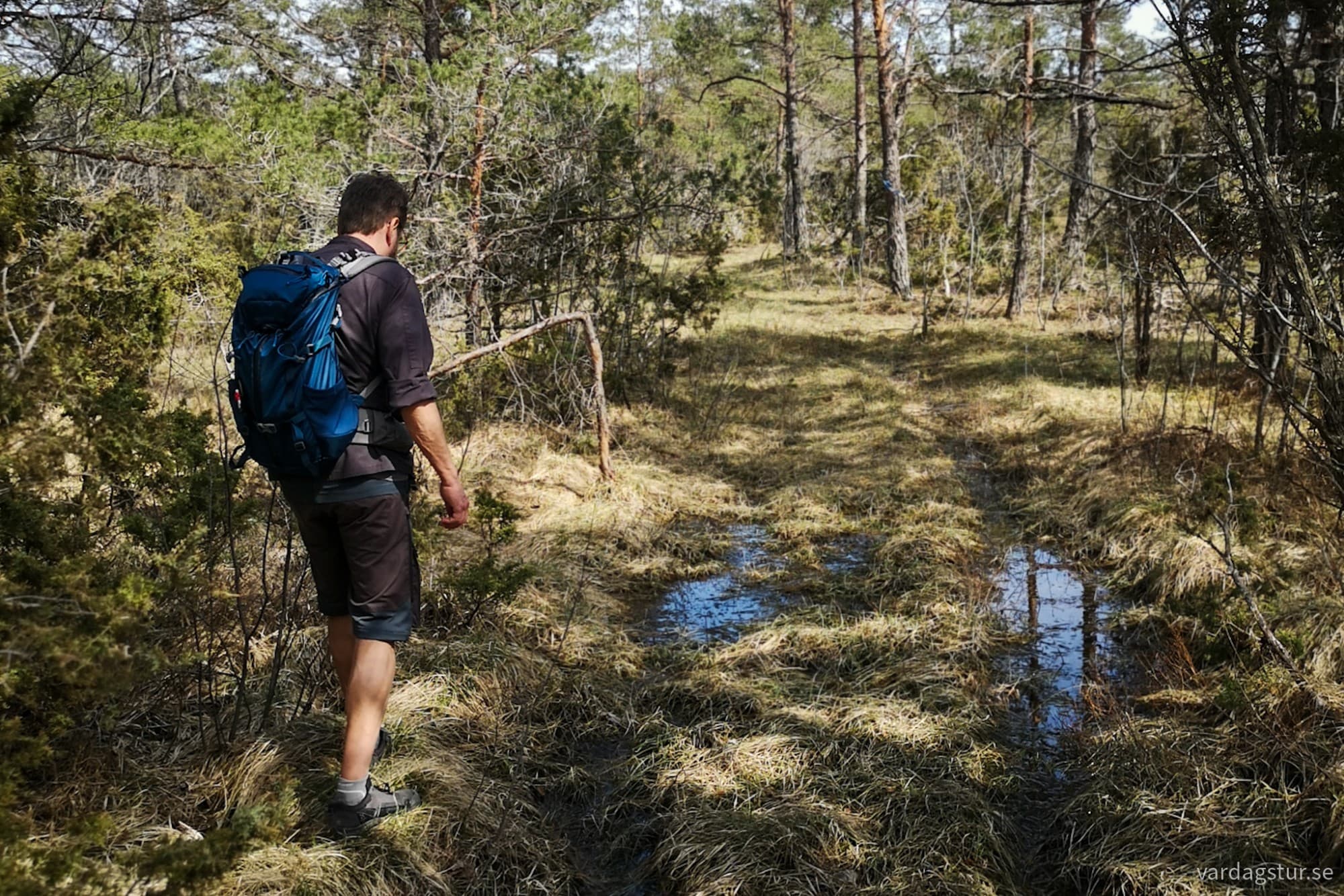 wp-17146784581311226241707154643936