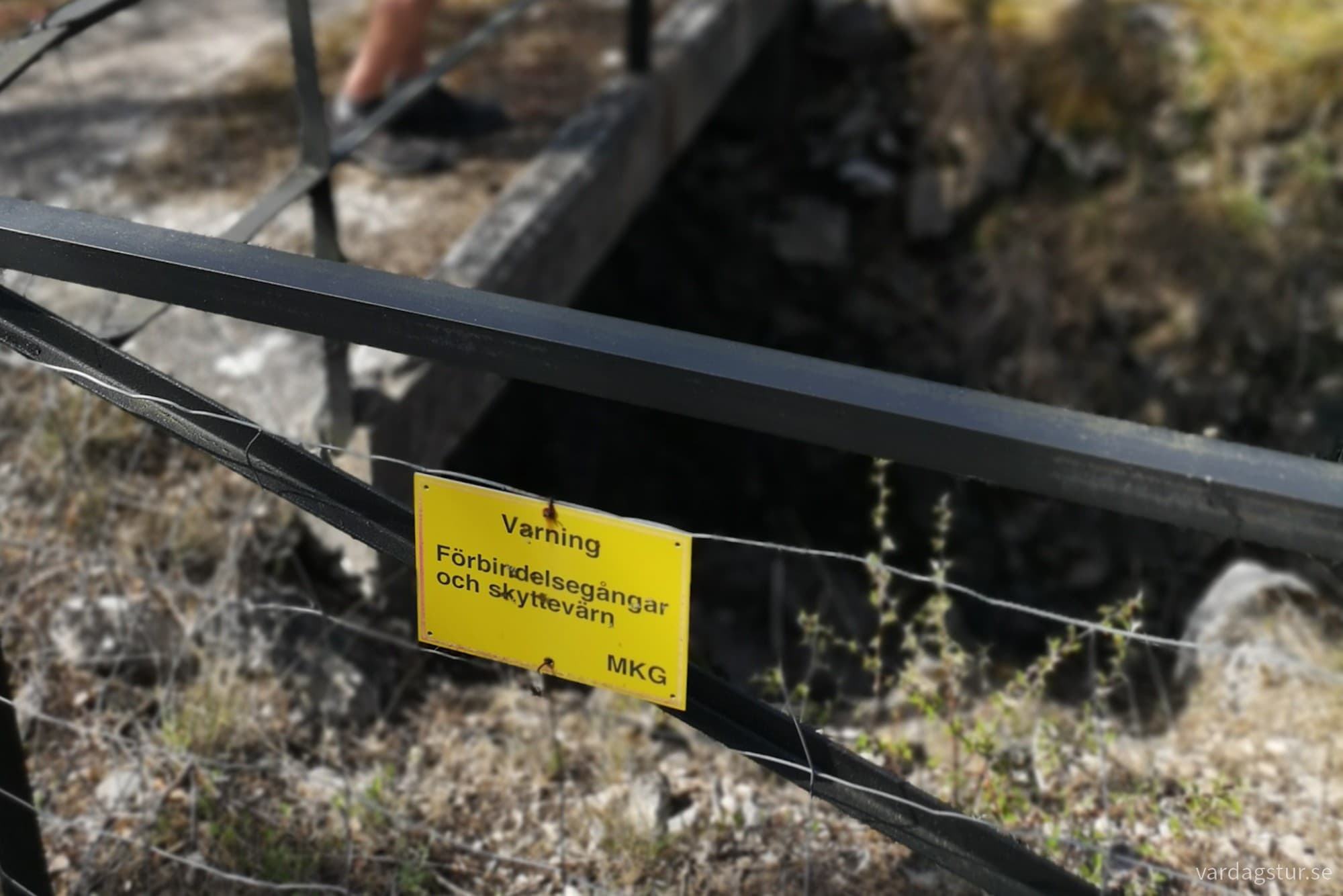 wp-17146785805953787885920257486026