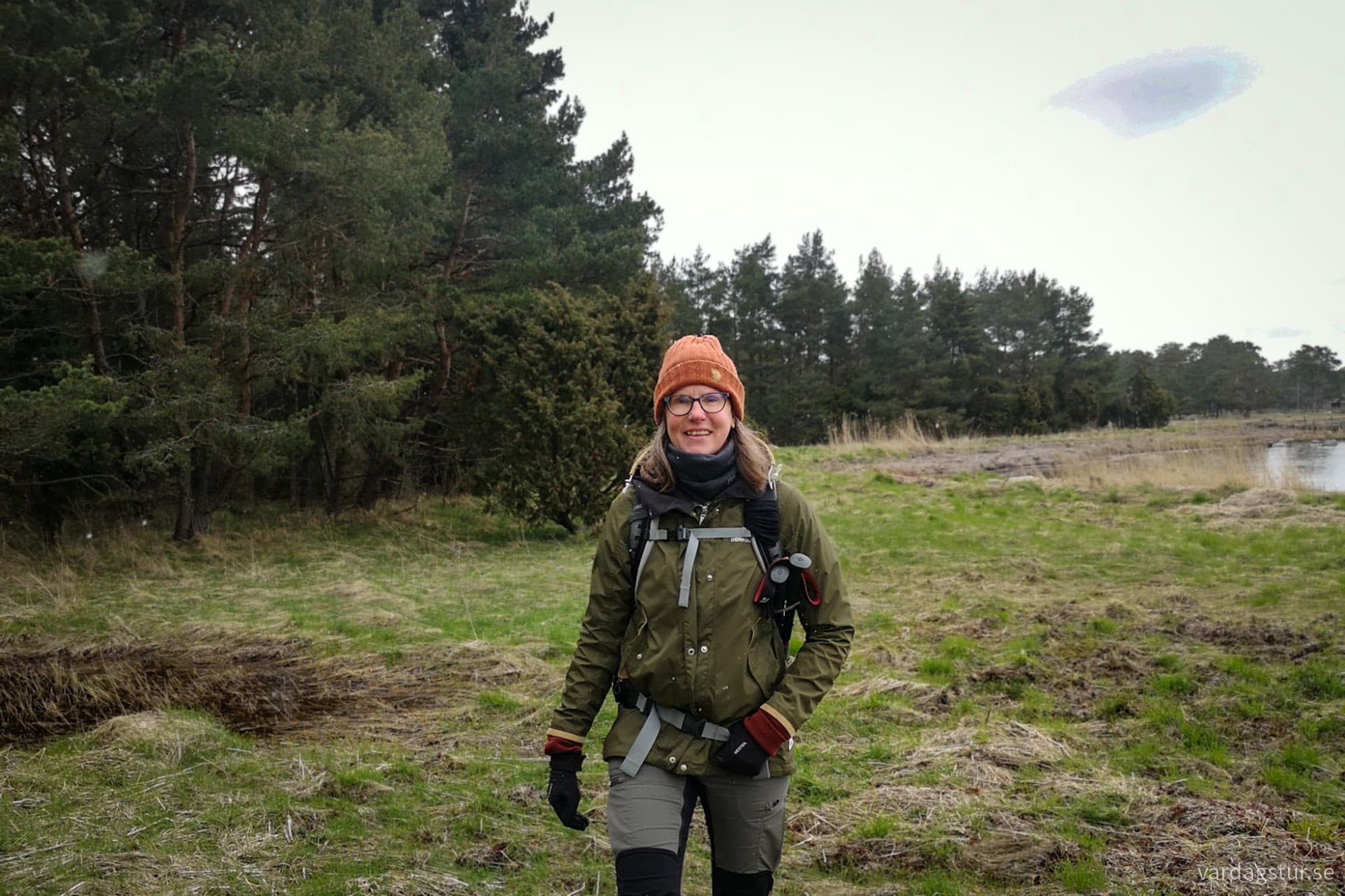 wp-17162339199867541668648901749020