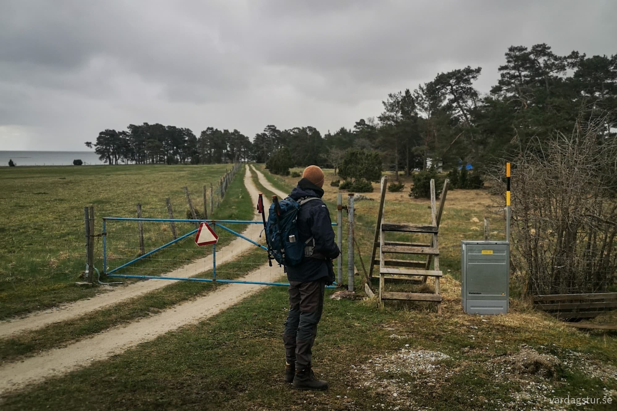 wp-17162339202292326042437044689645