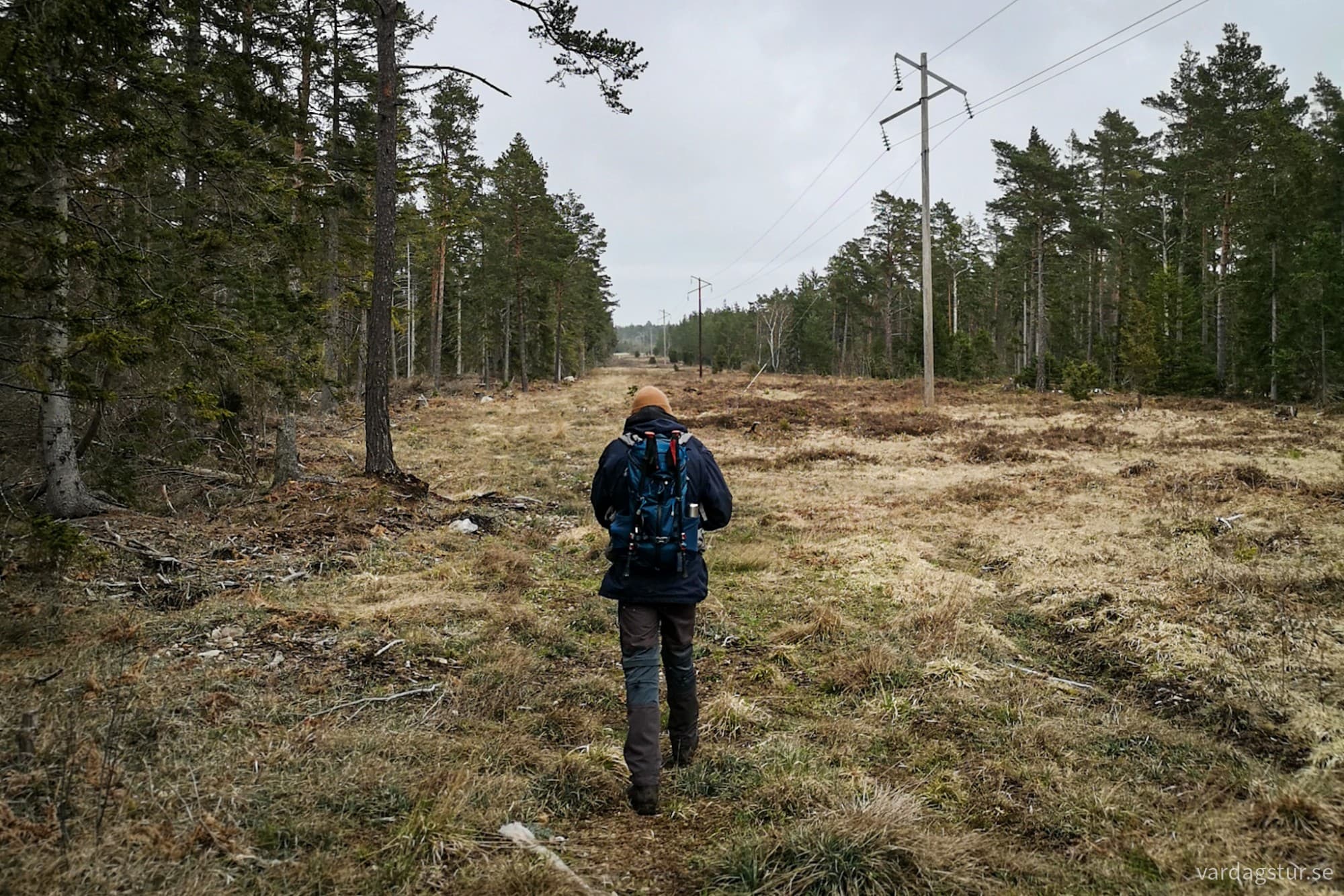 wp-17162339204725890020835576874284