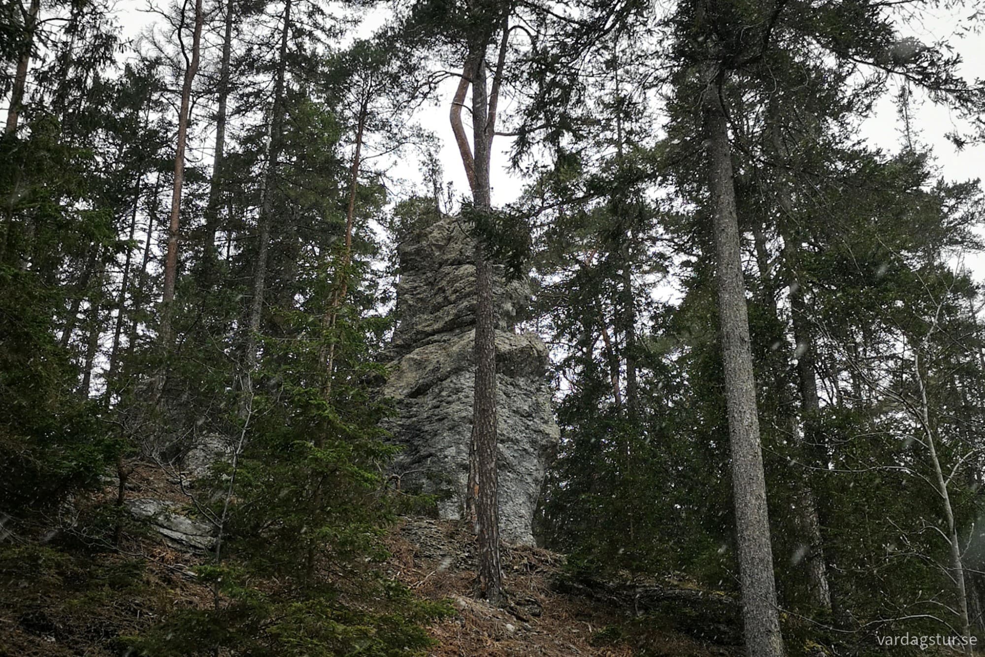 wp-17162339194962132240663940881838