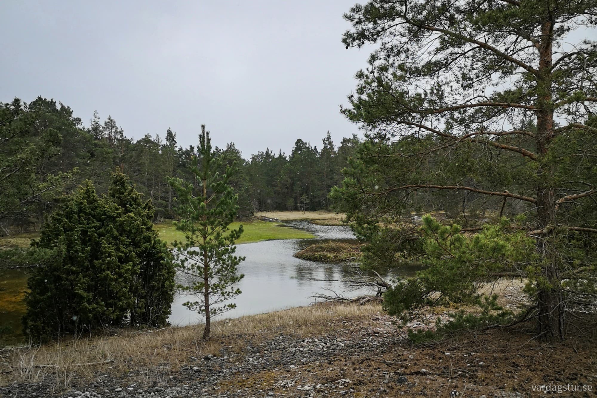 wp-1716233921456923183909187603944