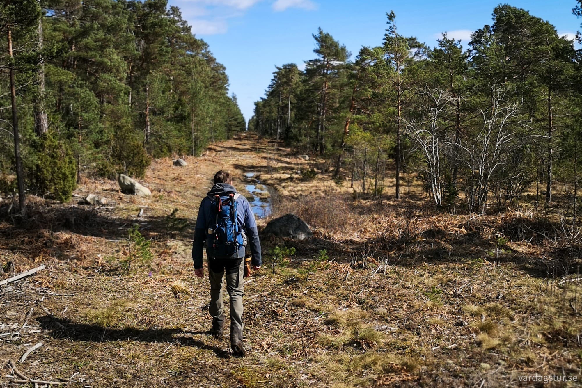 wp-17162349869196724610401494049552