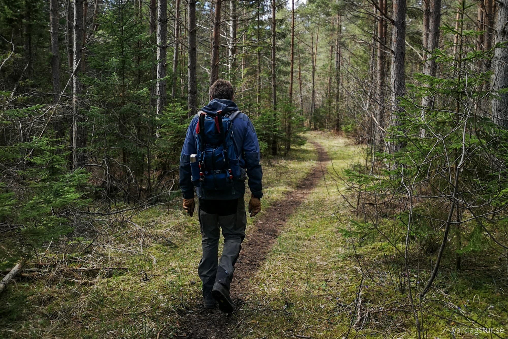 wp-17162349874561965042668869443027