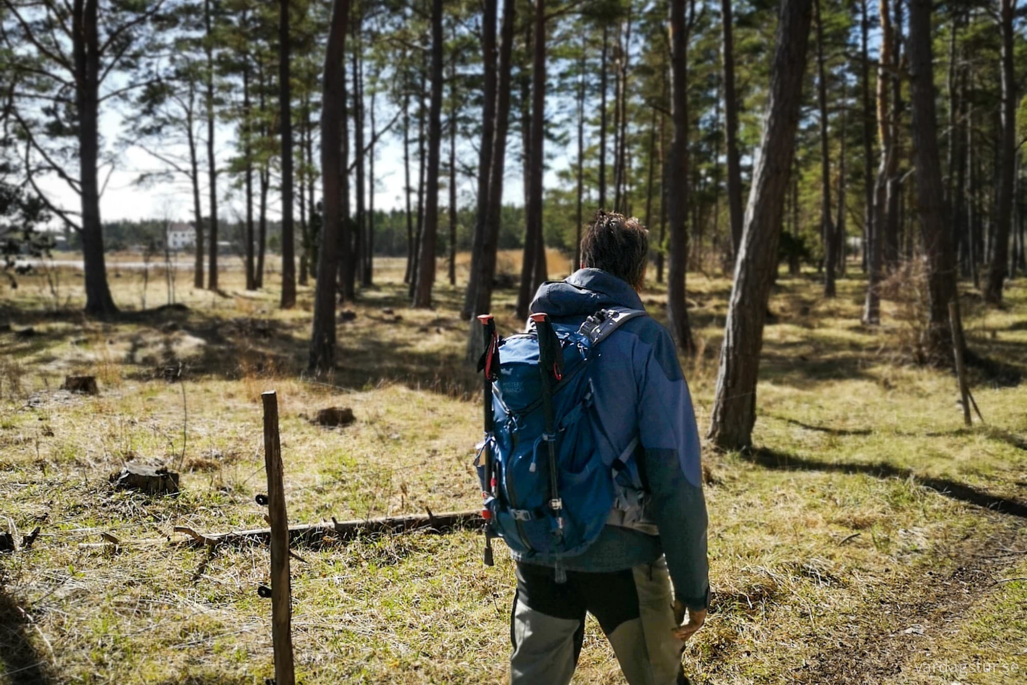 wp-17162349881386840533548267167937