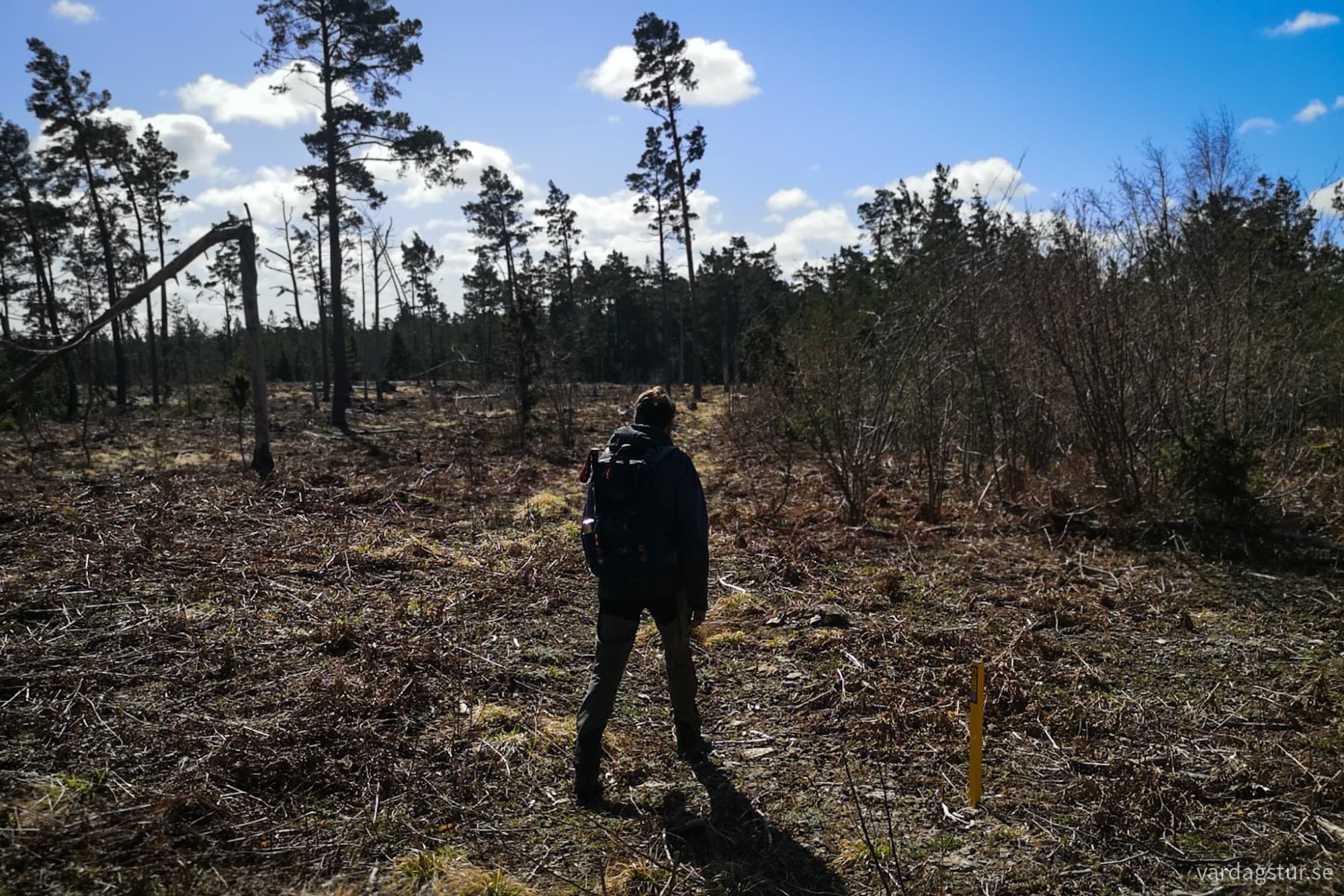 wp-17162349871875388034661330628912