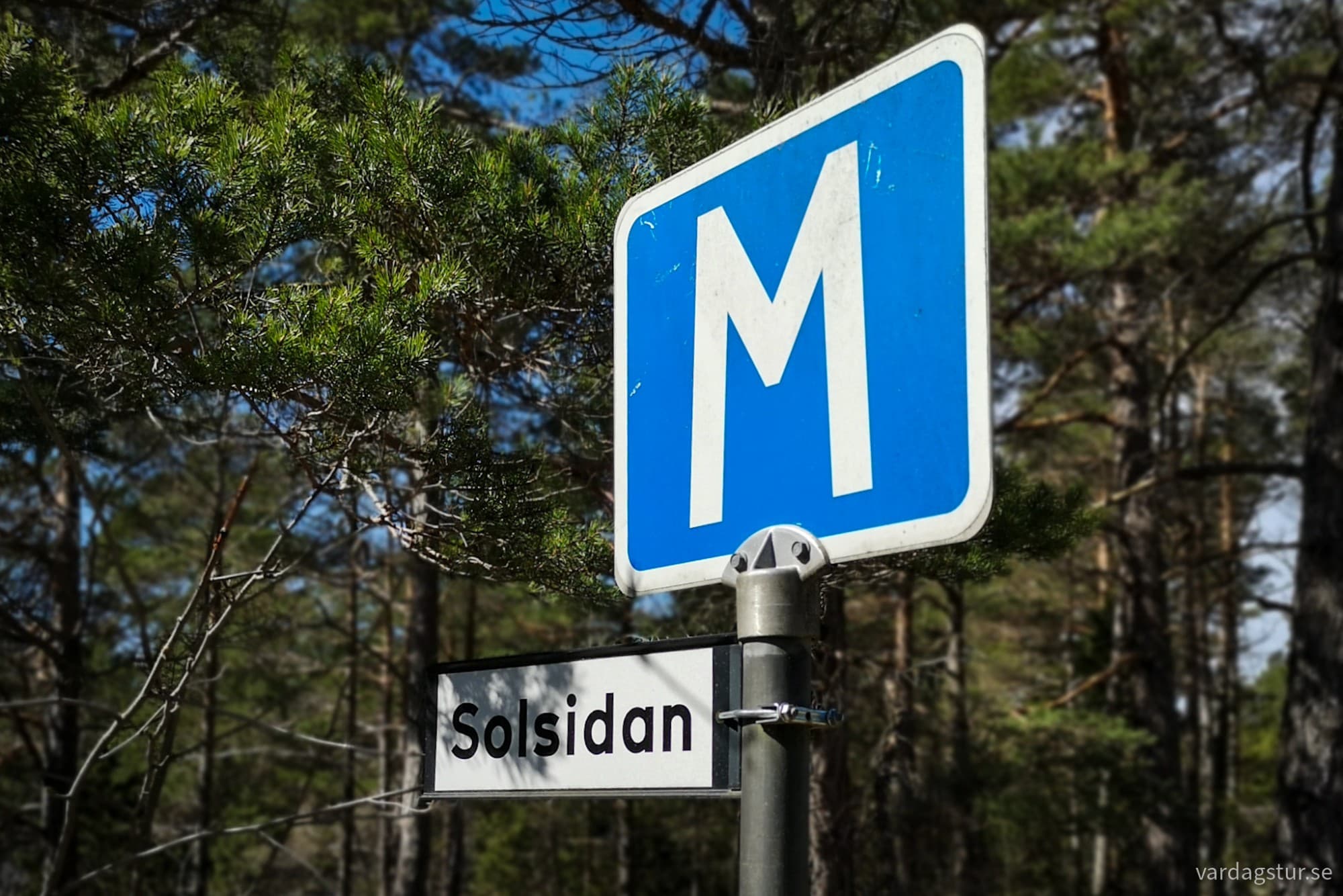 wp-17162349896193904002452029925457