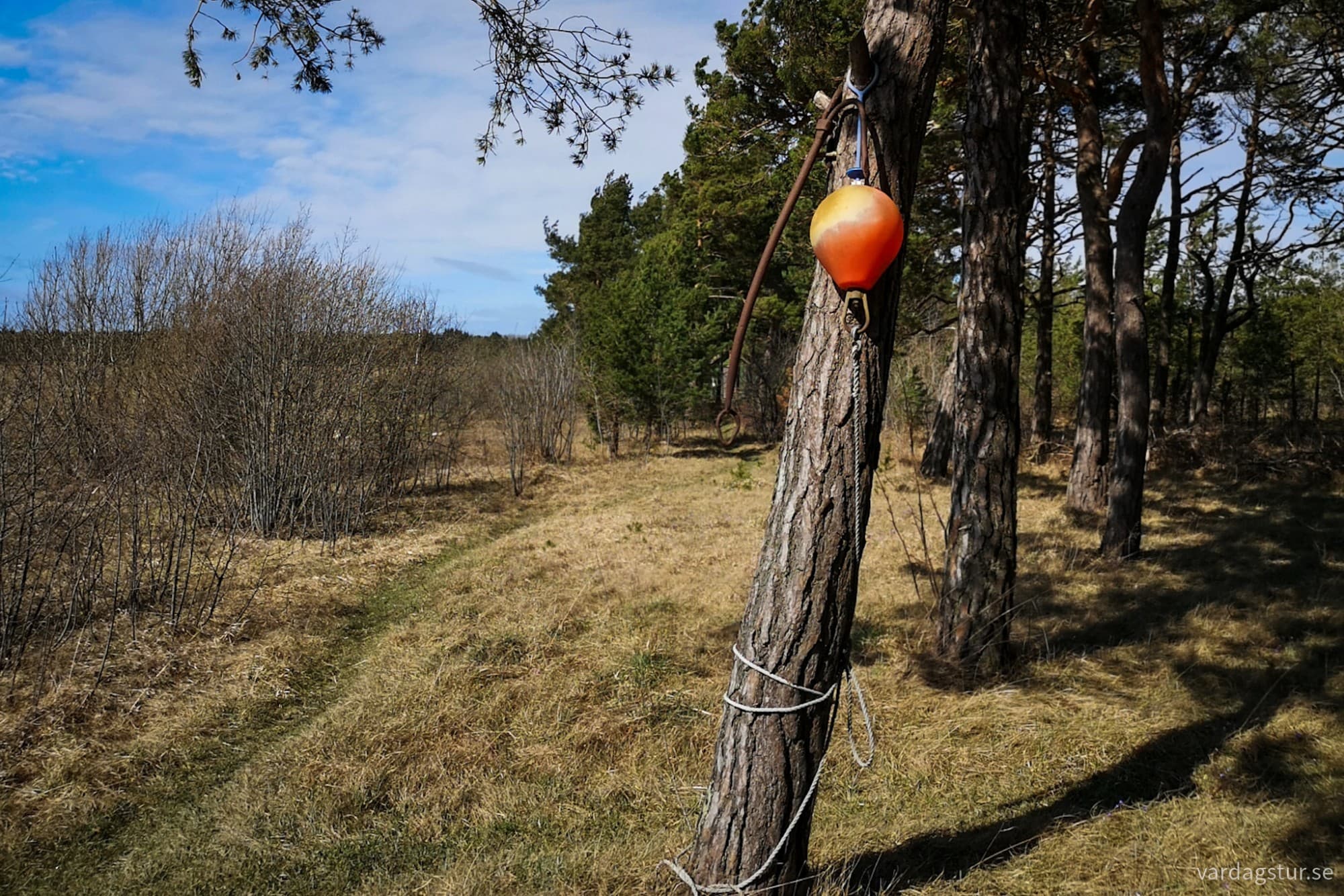 wp-17162349892696741141491856583004