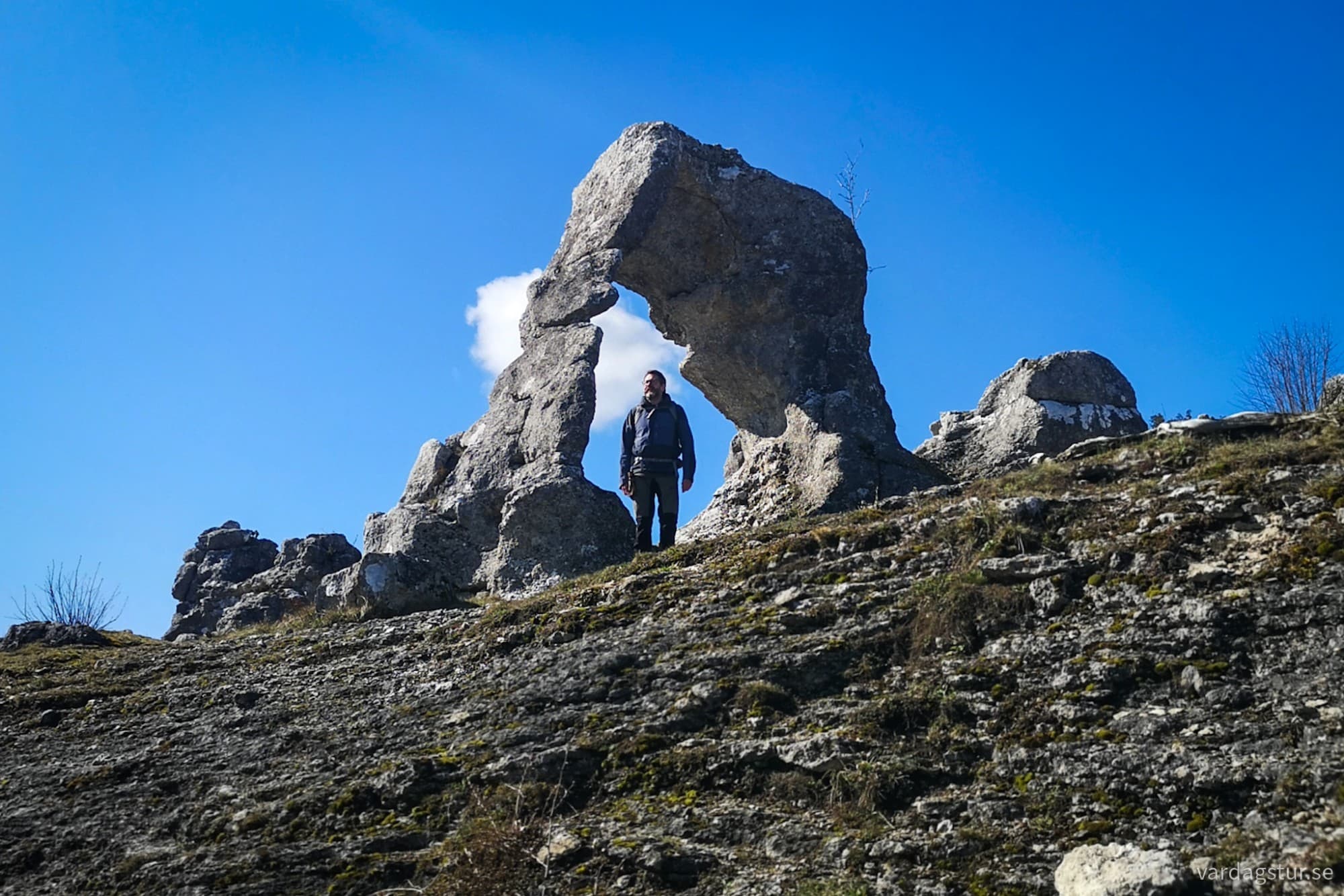 wp-17162349901326042671976613840054