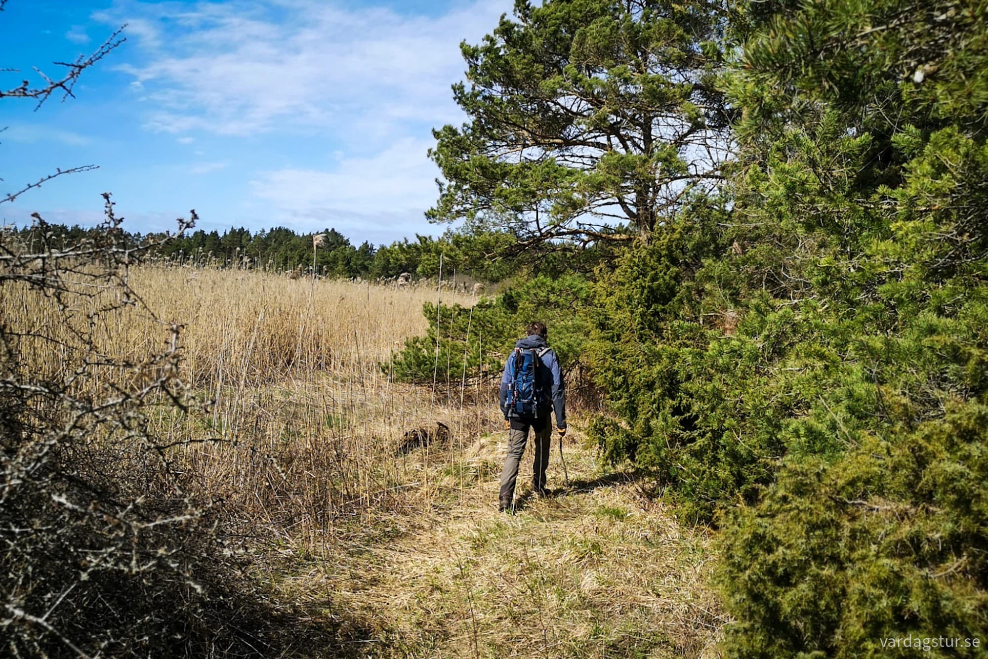 wp-17162349907217448312670395642443