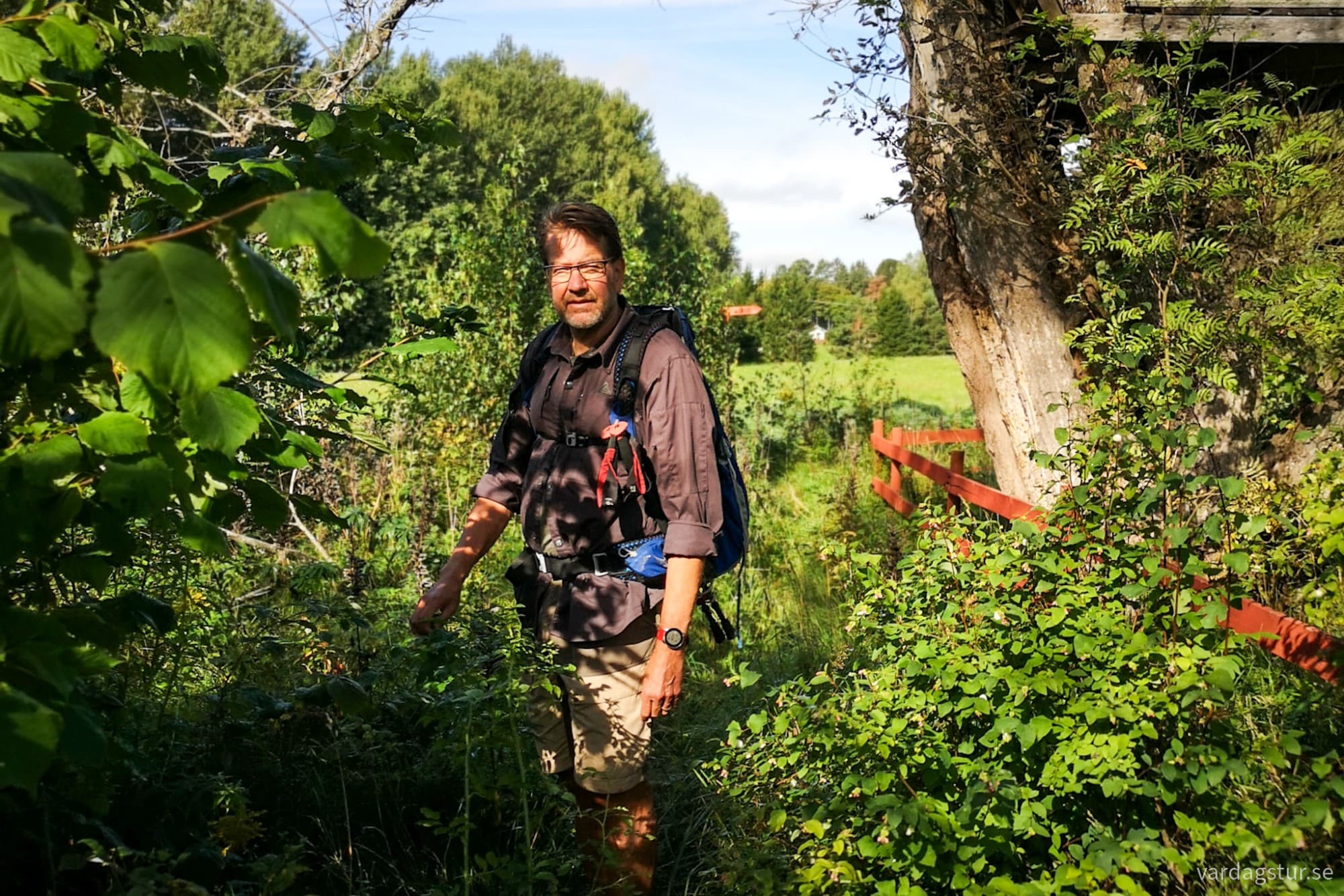 wp-1717180592708434920230309548112