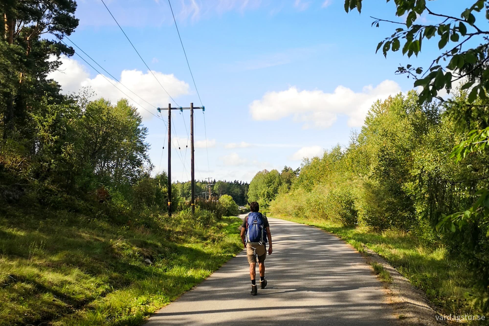 wp-17171805932627216922496165638518