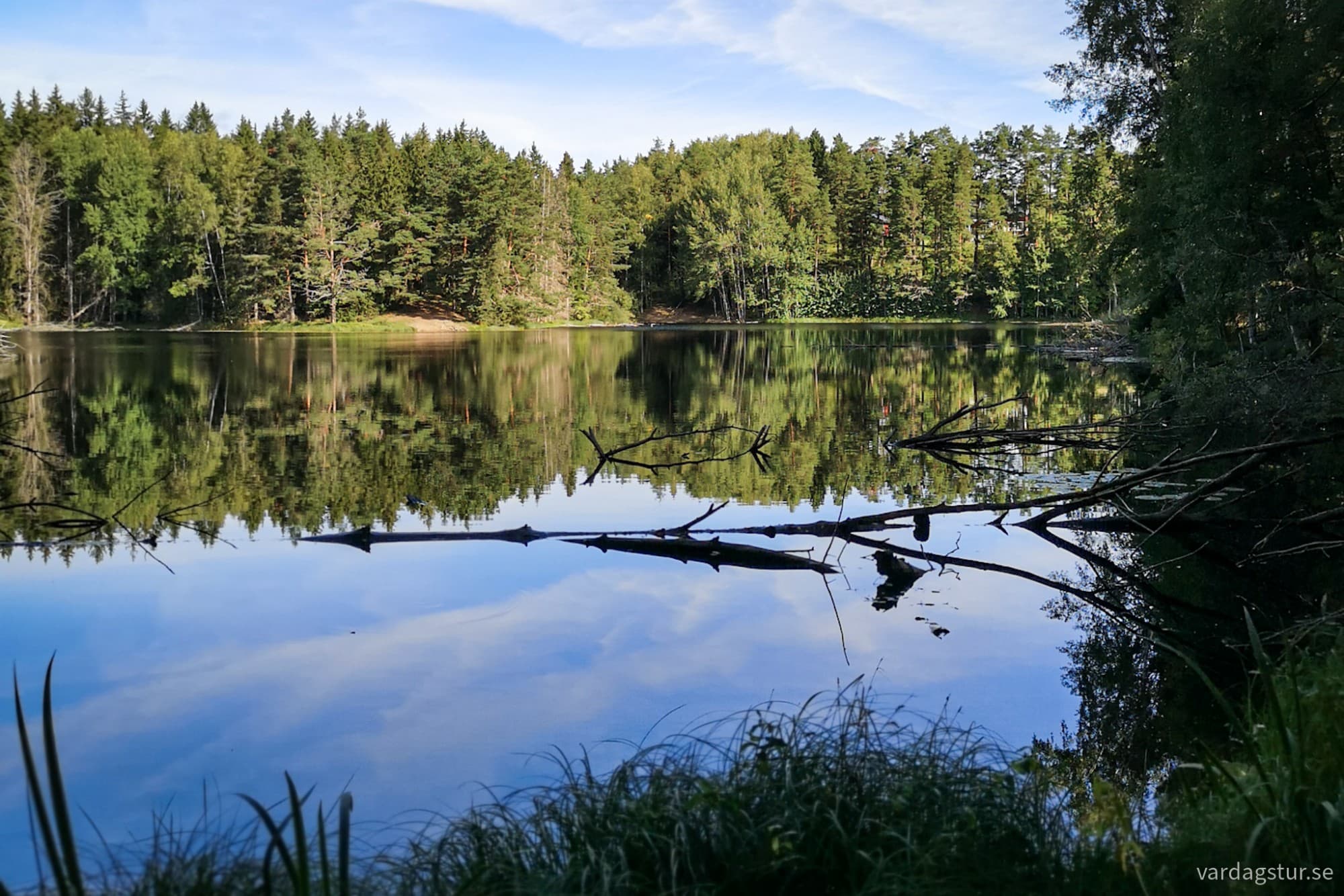 wp-17171805935501112791313338388942