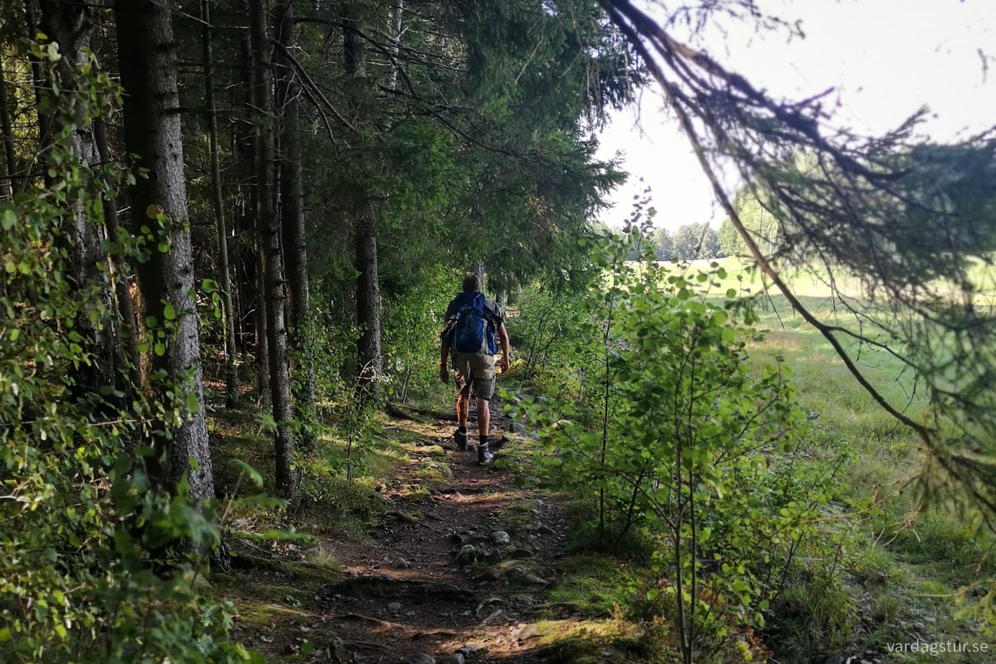 wp-17171805946984837306549619678716