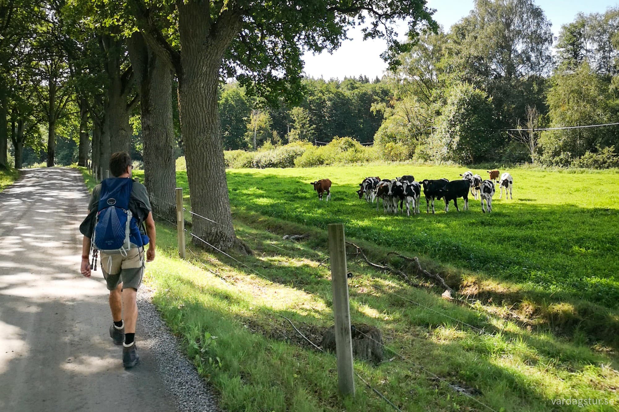 wp-1717180594986358680650044705541