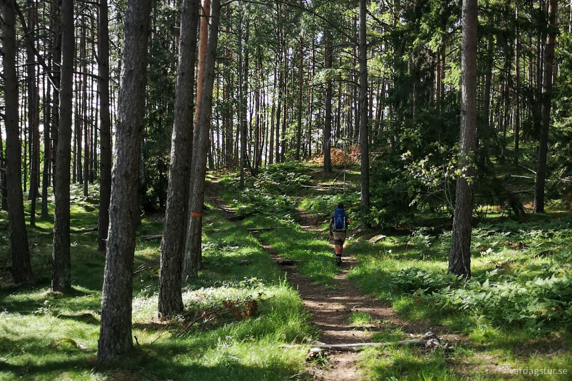 wp-17171805953183716998810442899471