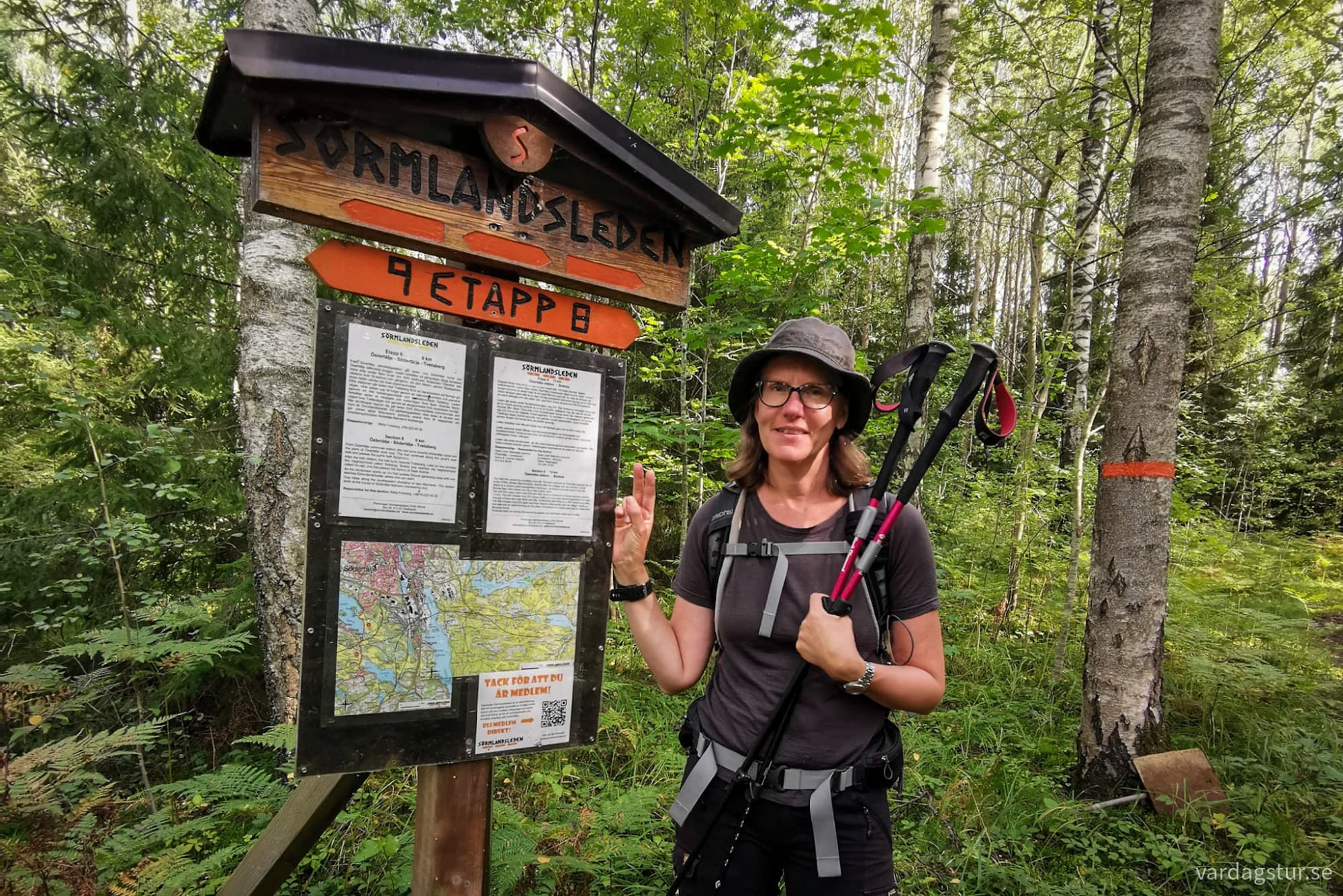 wp-1717180657125935389754063683370