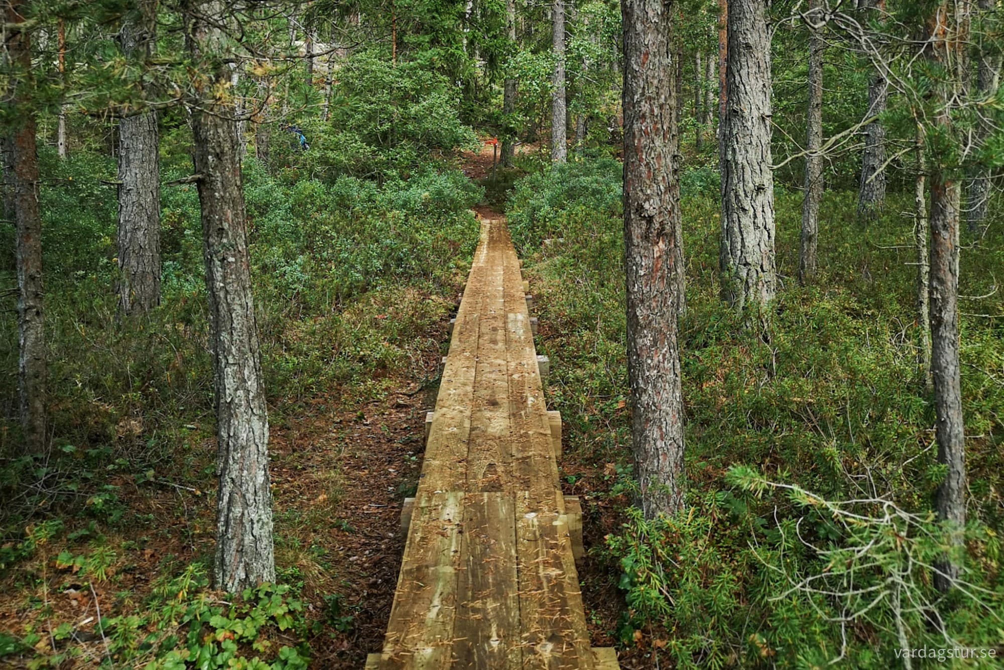 wp-1717224082644337164317195491045