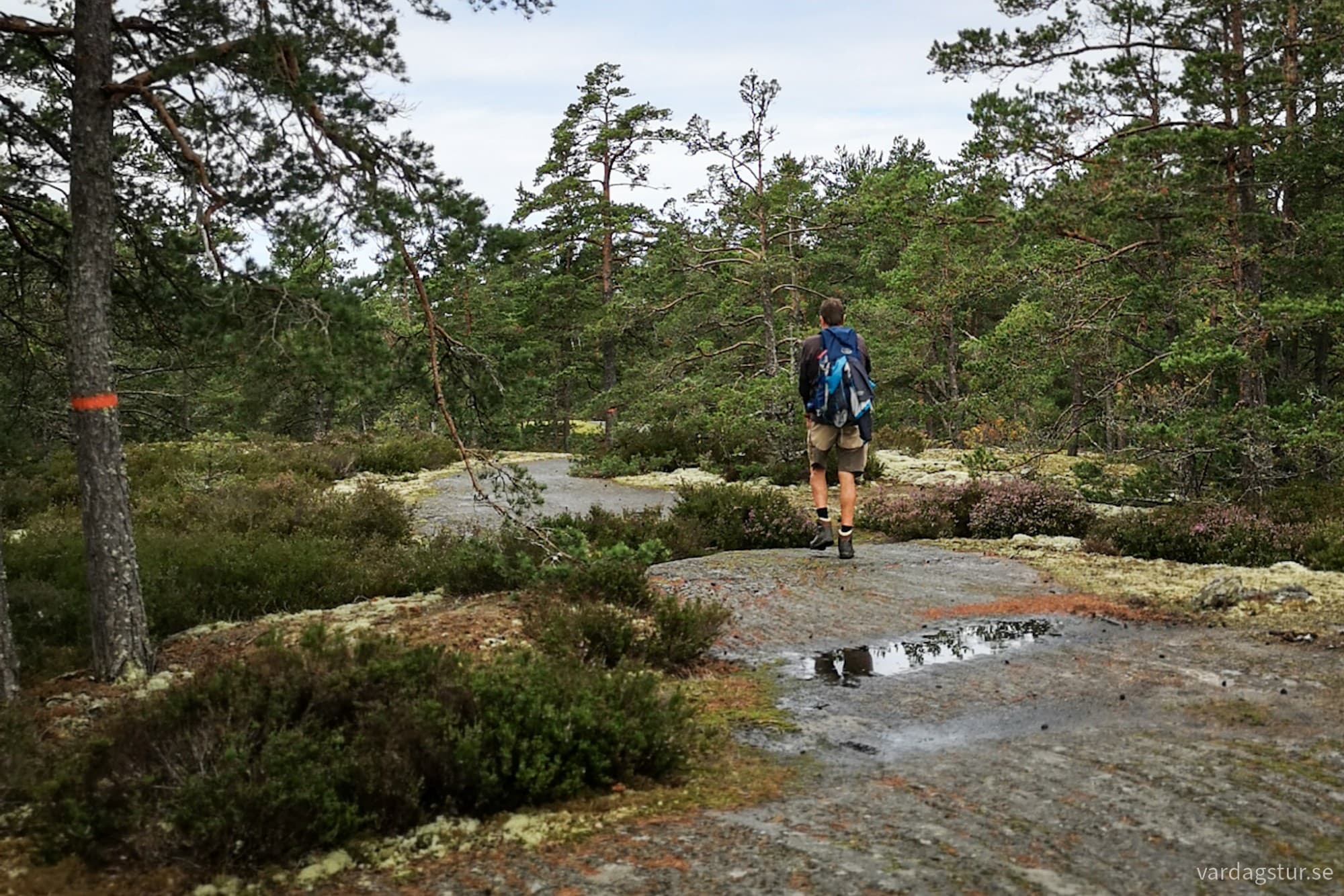 wp-17172240832763380506974068670287