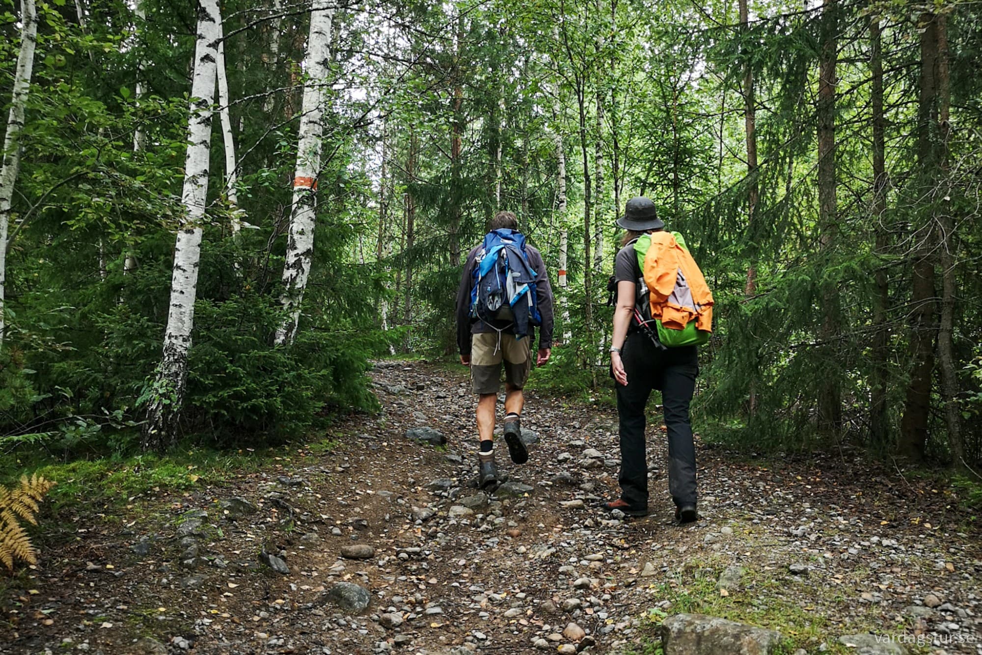 wp-17172240838314943508469379561036