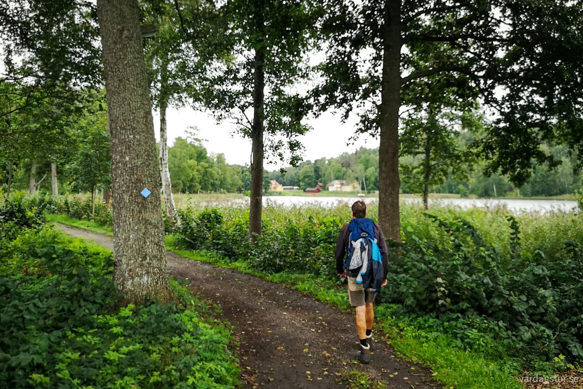 wp-17172240851883155794851327546532