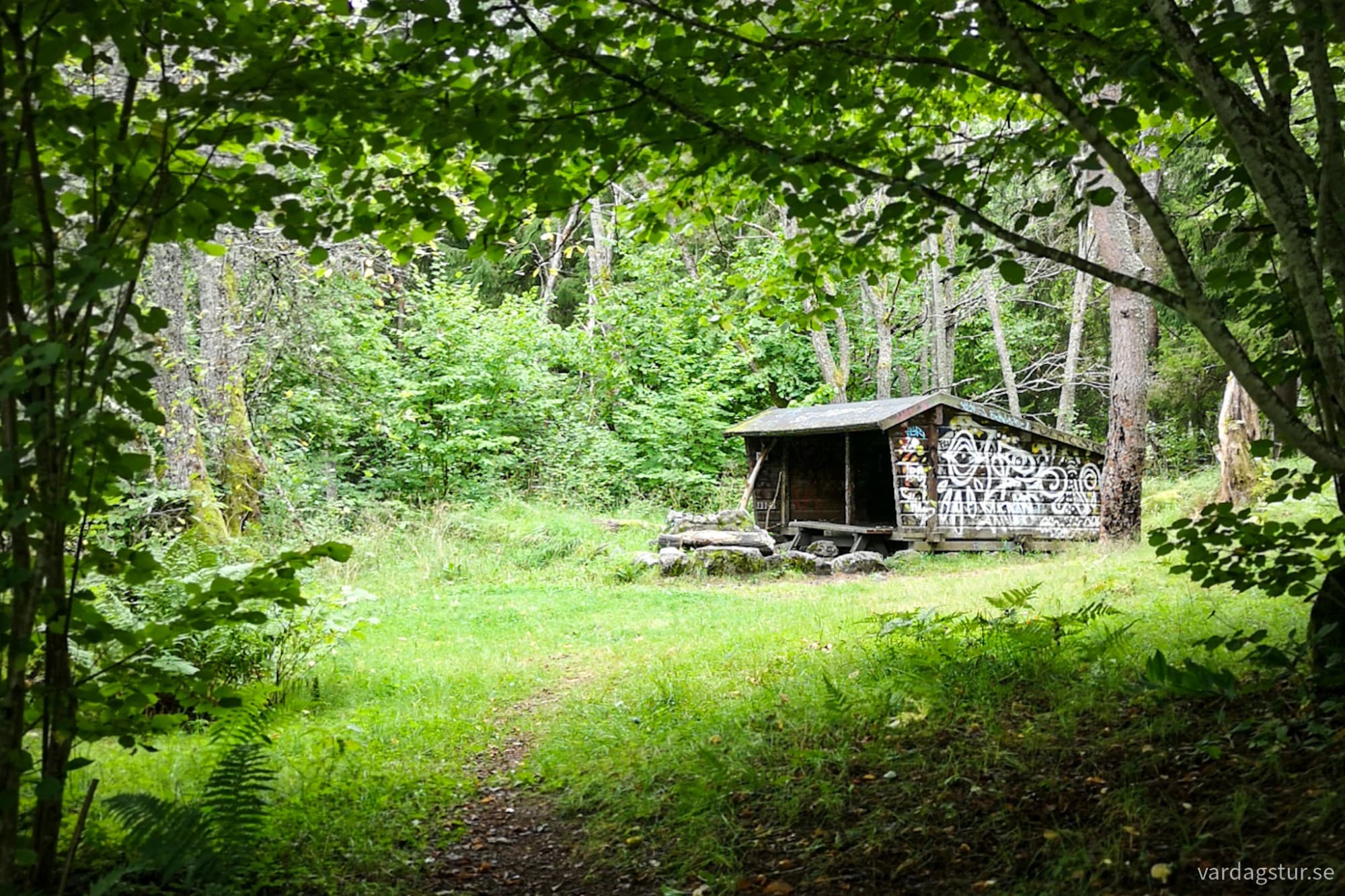 wp-17172242486297436935803791747329