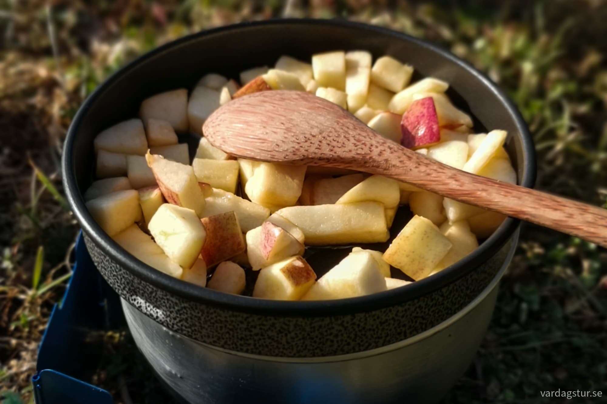 wp-17174417243568381273392857836949