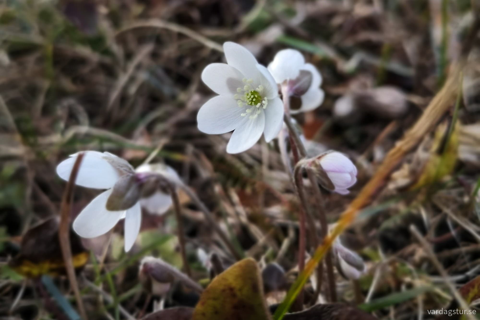 wp-17174417233412905715892530681886