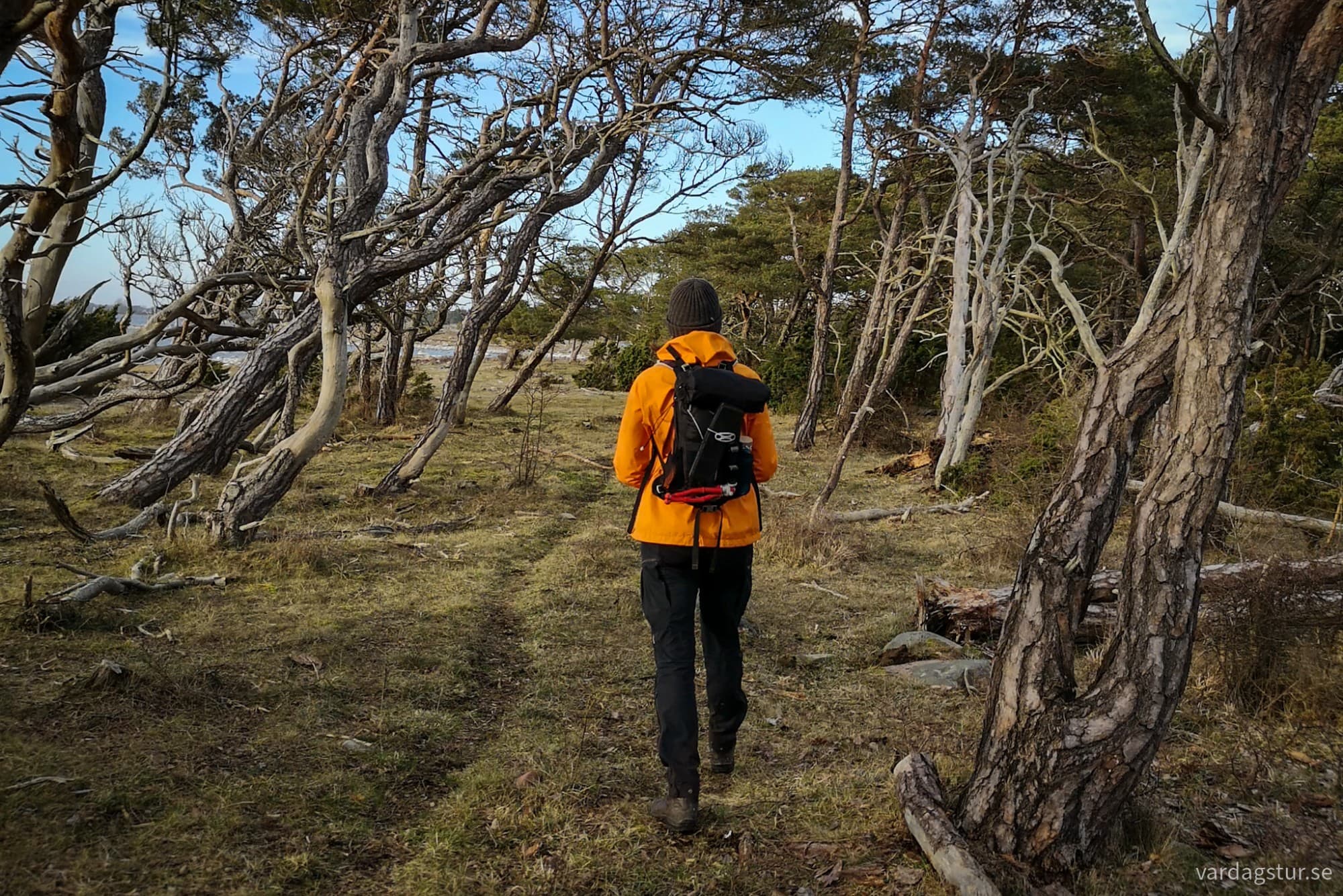 wp-17174417237502862184317949141858