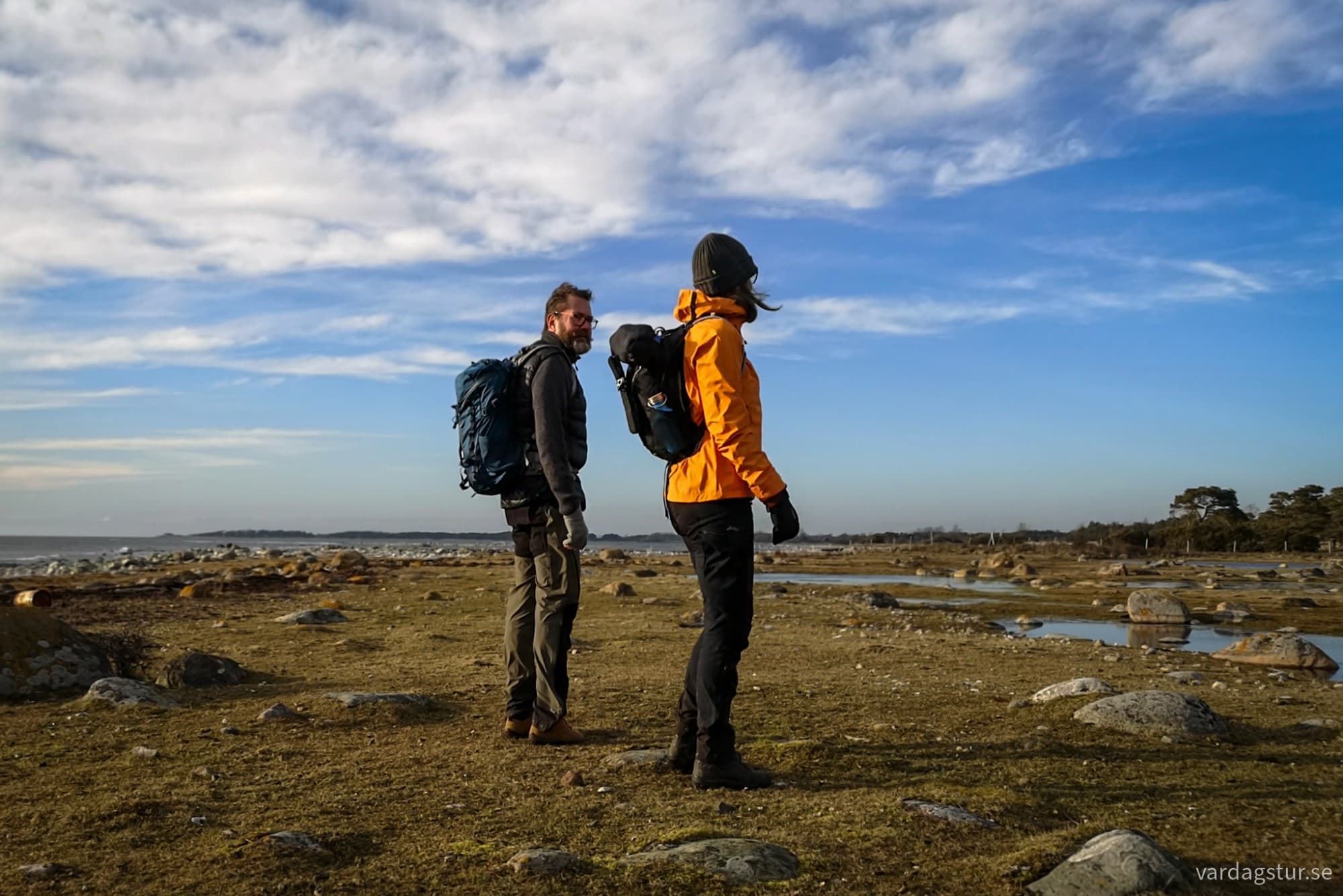 wp-17174417245657919218094189884611