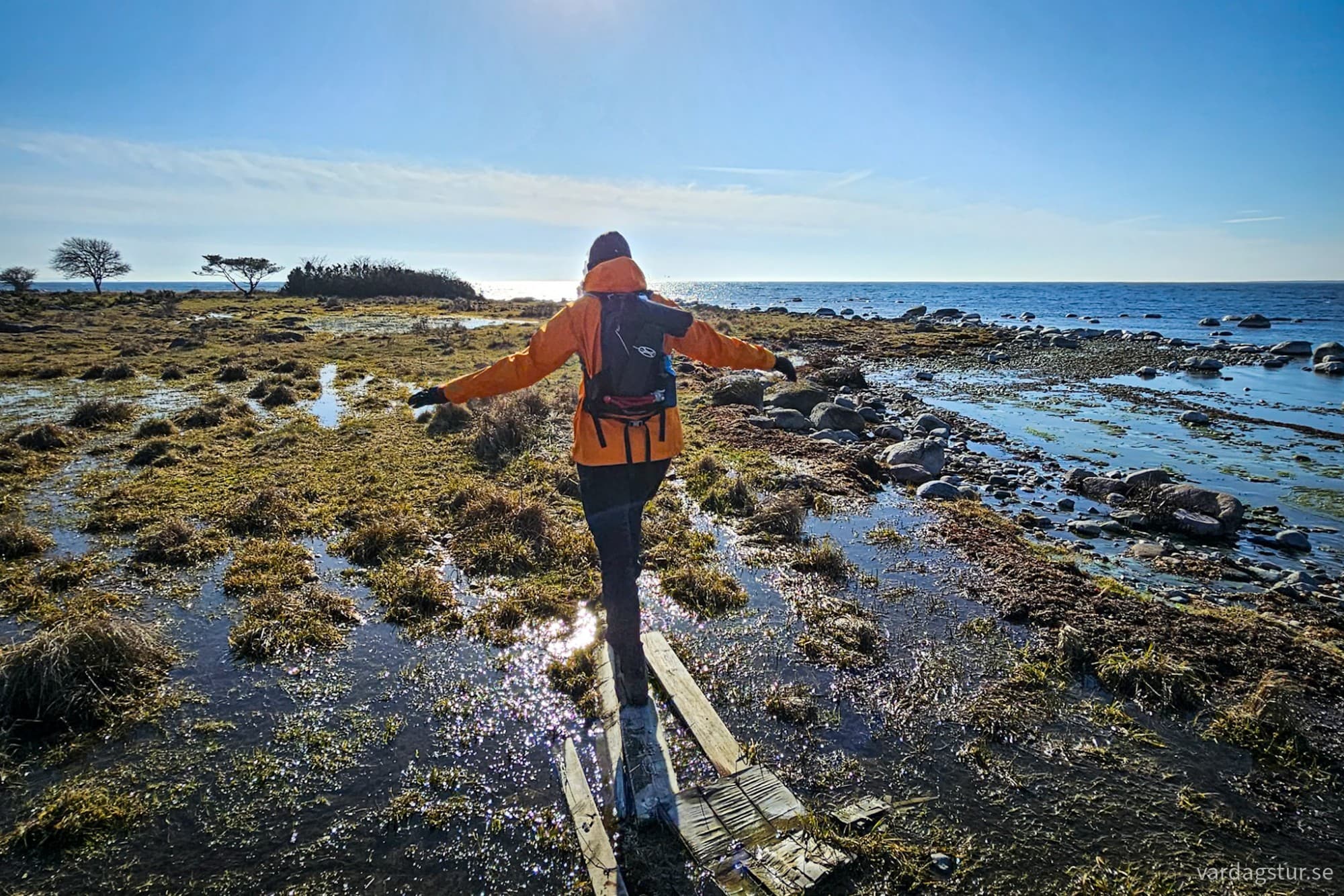 wp-17174417248114747185186461998176