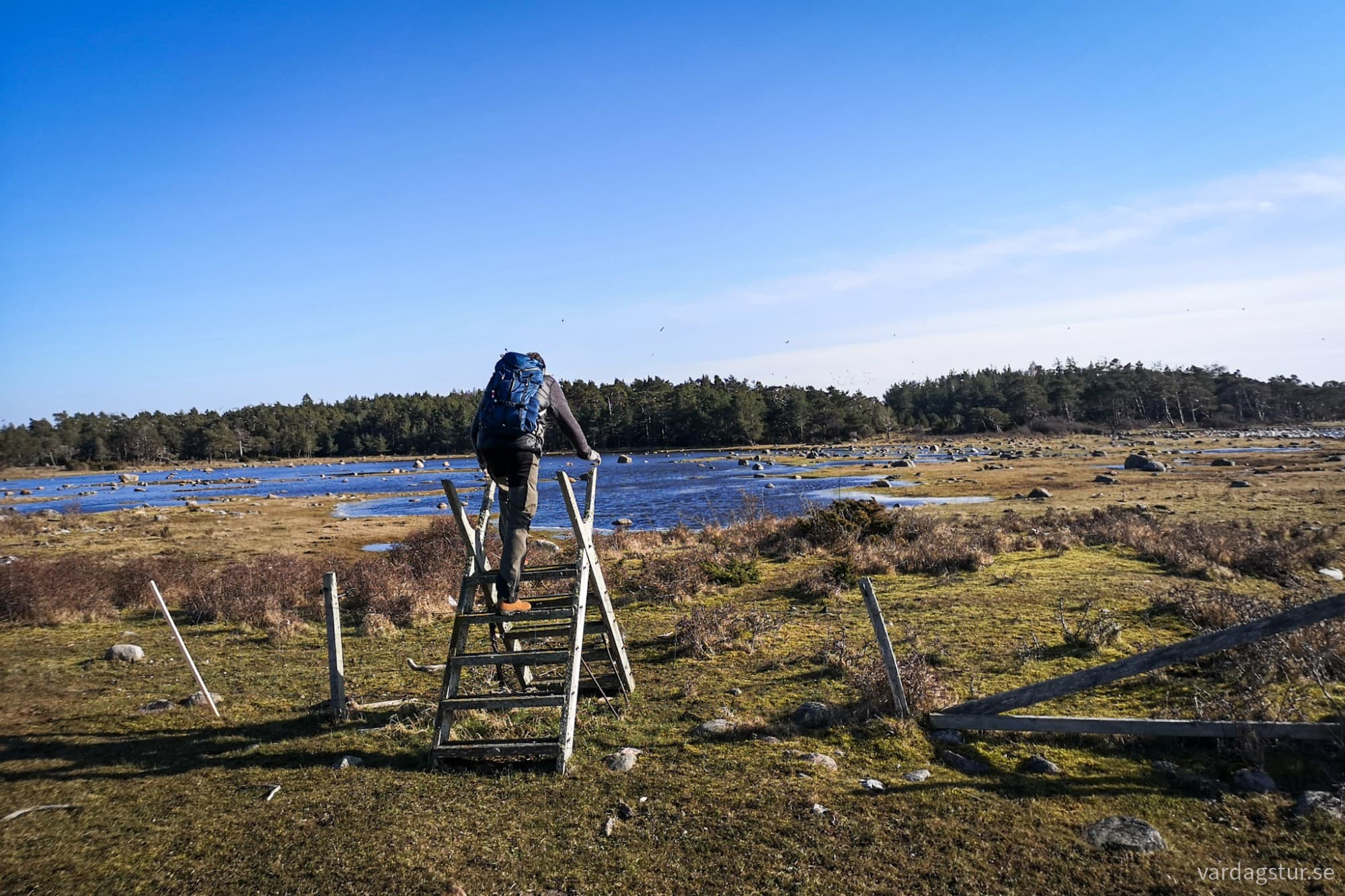 wp-17174417254072186761490085640860