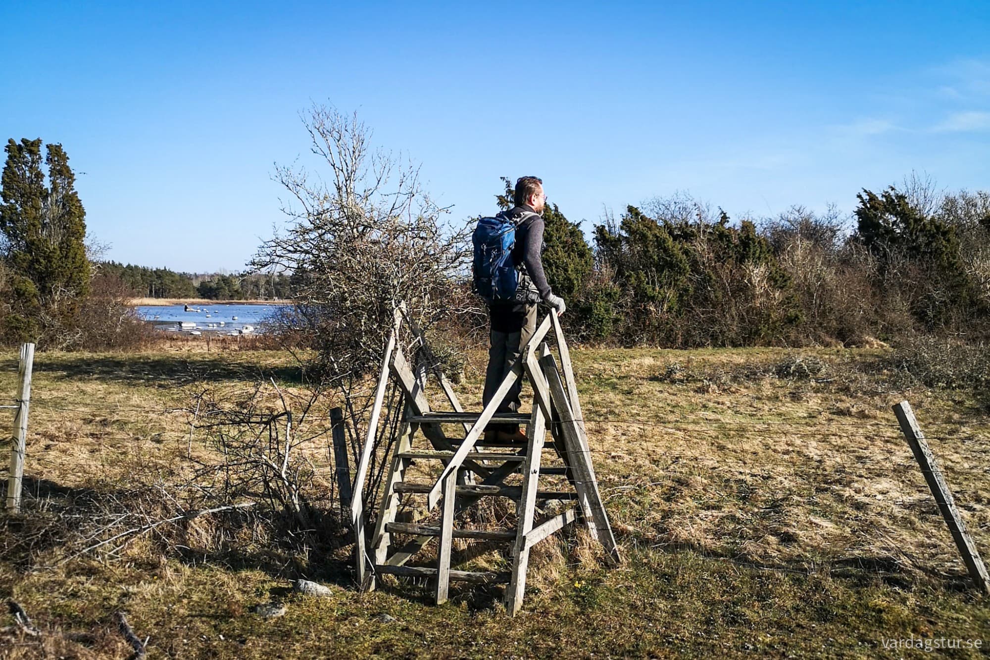 wp-17174417257006920422094082719832