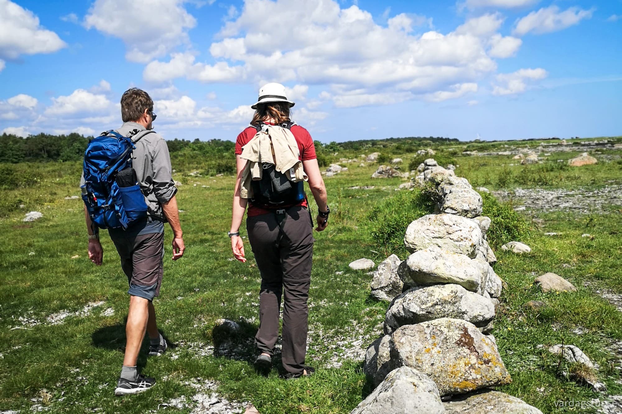 wp-17179158374874970577349518837699