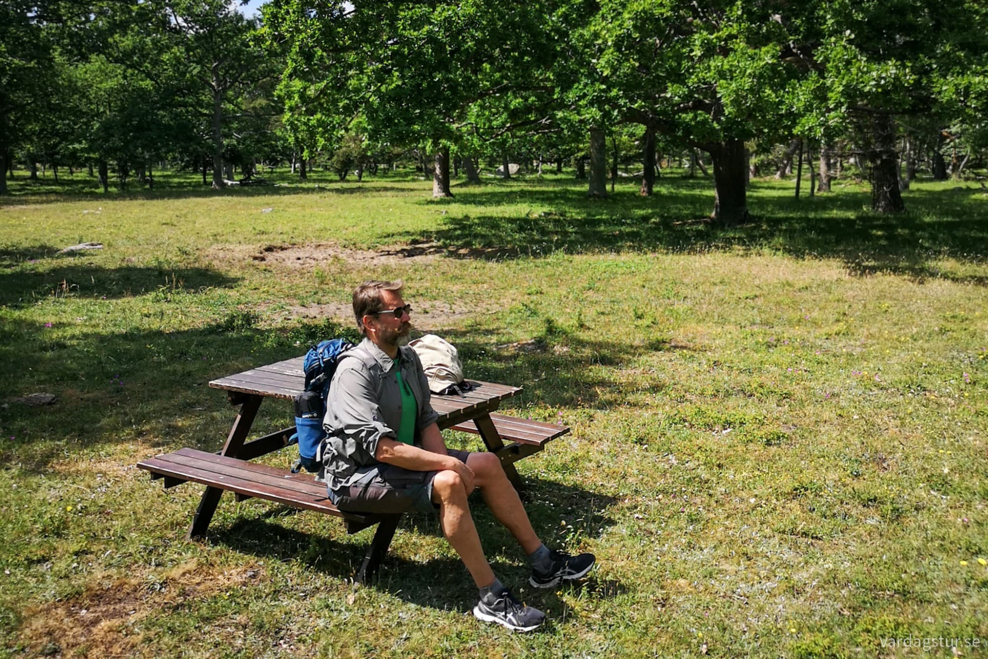 wp-17179158382025833175596456670410