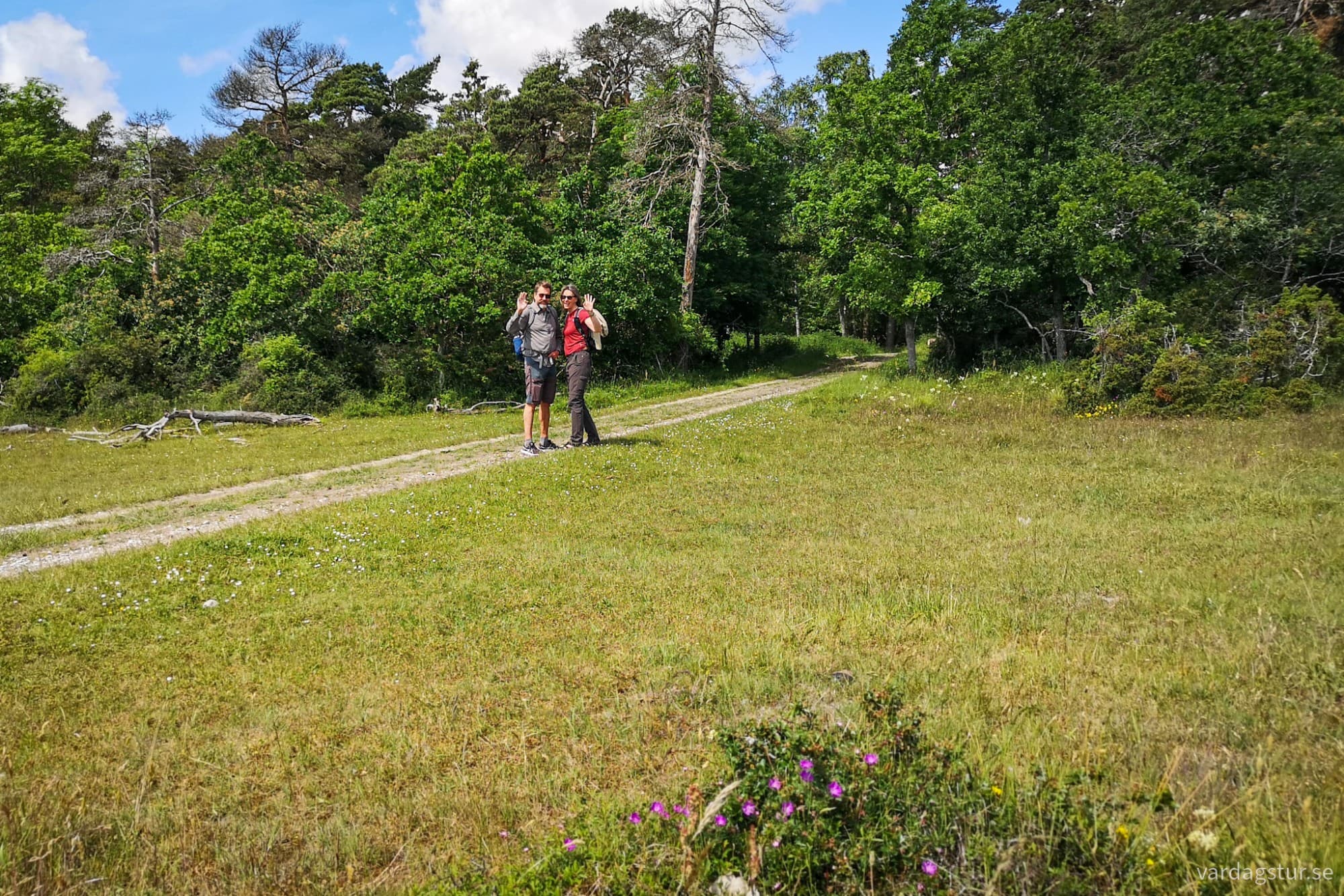 wp-17179159195028101394574879658472