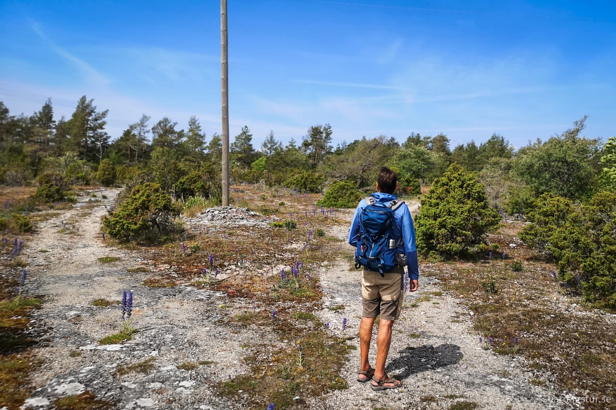 wp-17185172308974029664098393617260