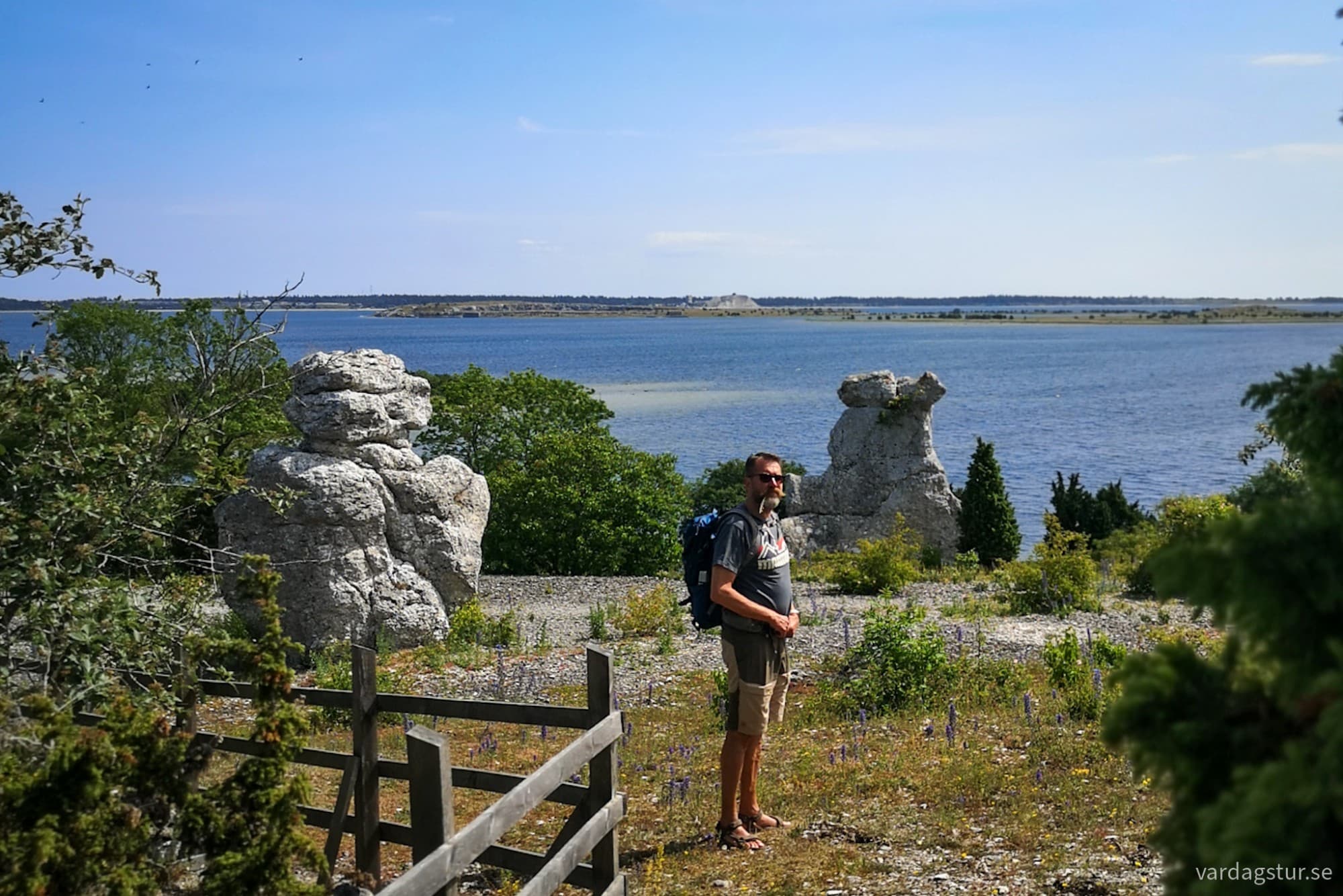 wp-17185172311685441971096250037762